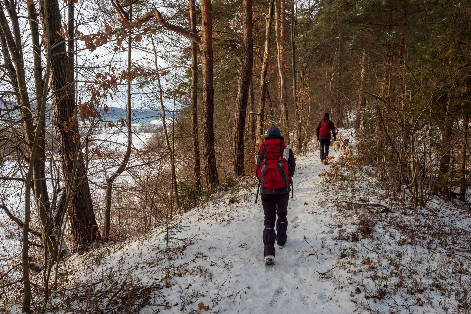 Markušovský skalný hríb a Šikľavá skala (Volovské vrchy)