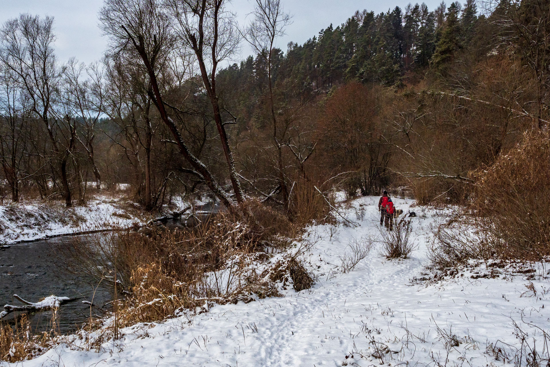 Markušovský skalný hríb a Šikľavá skala (Volovské vrchy)