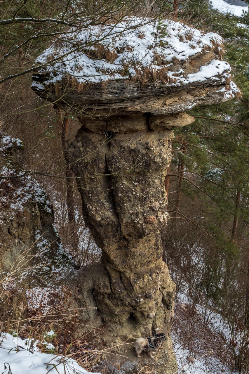 Markušovský skalný hríb a Šikľavá skala (Volovské vrchy)