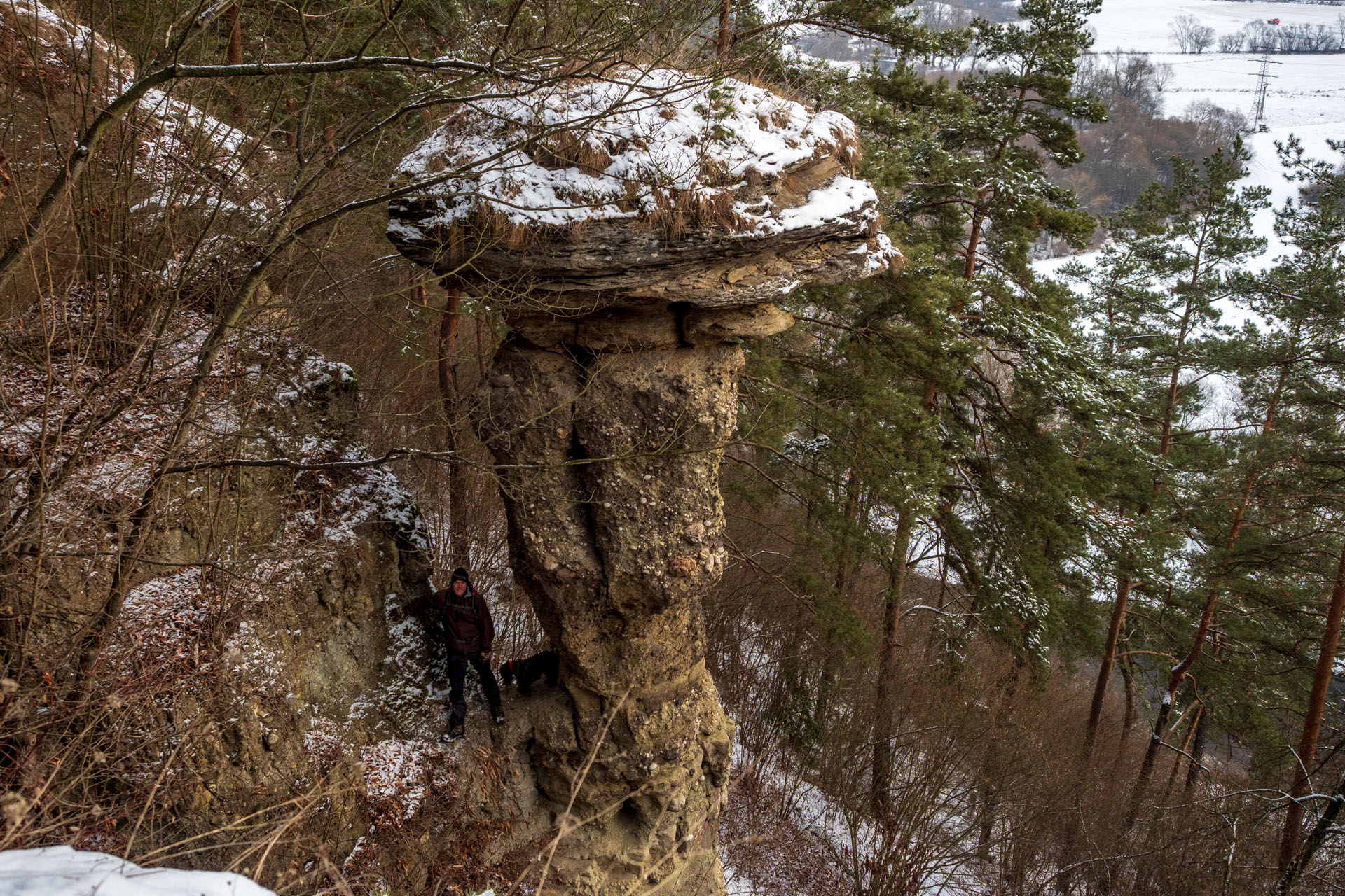 Markušovský skalný hríb a Šikľavá skala (Volovské vrchy)