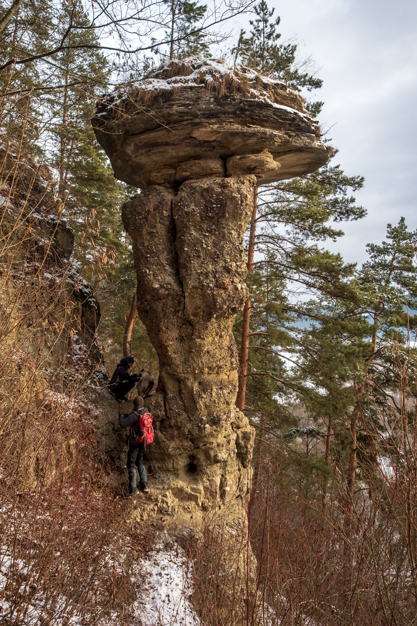 Markušovský skalný hríb a Šikľavá skala (Volovské vrchy)