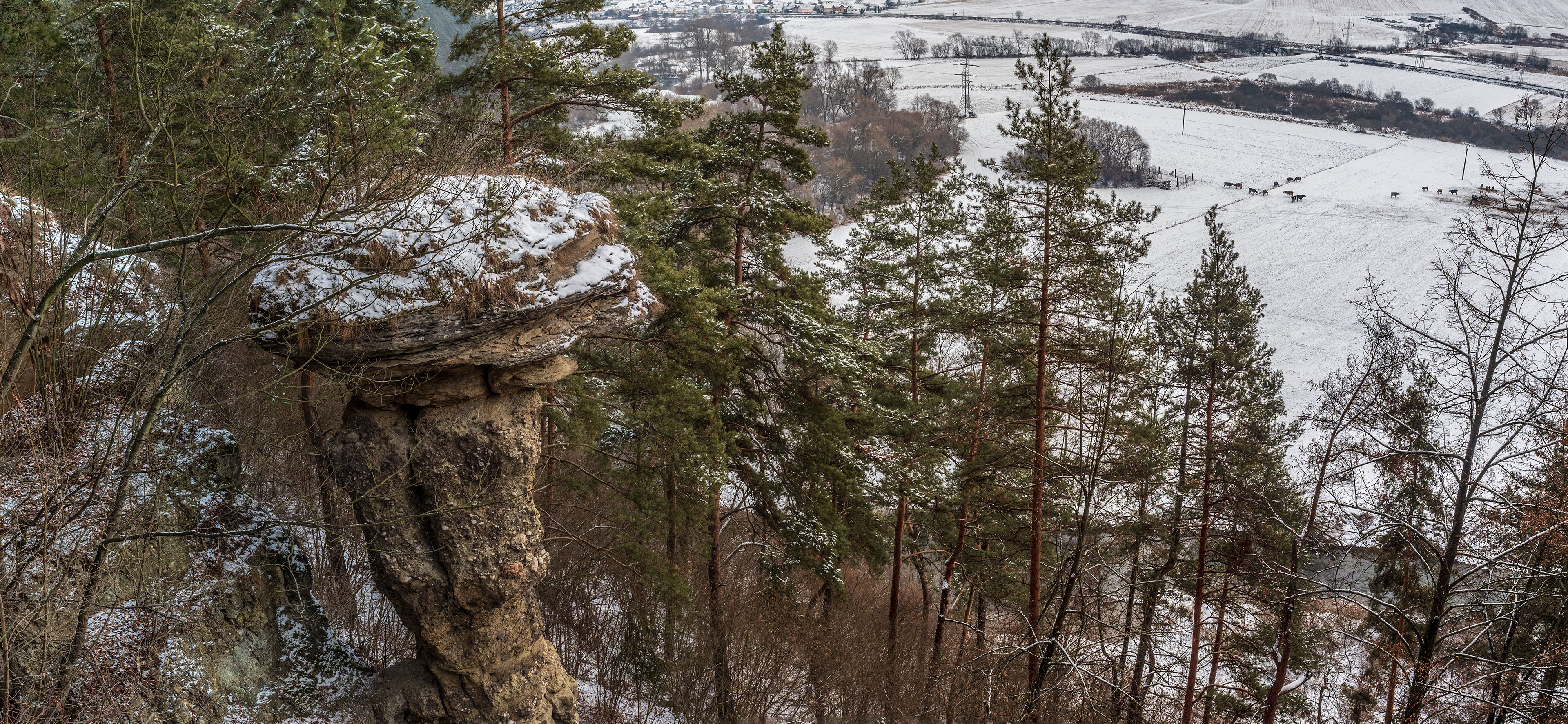 Markušovský skalný hríb a Šikľavá skala (Volovské vrchy)