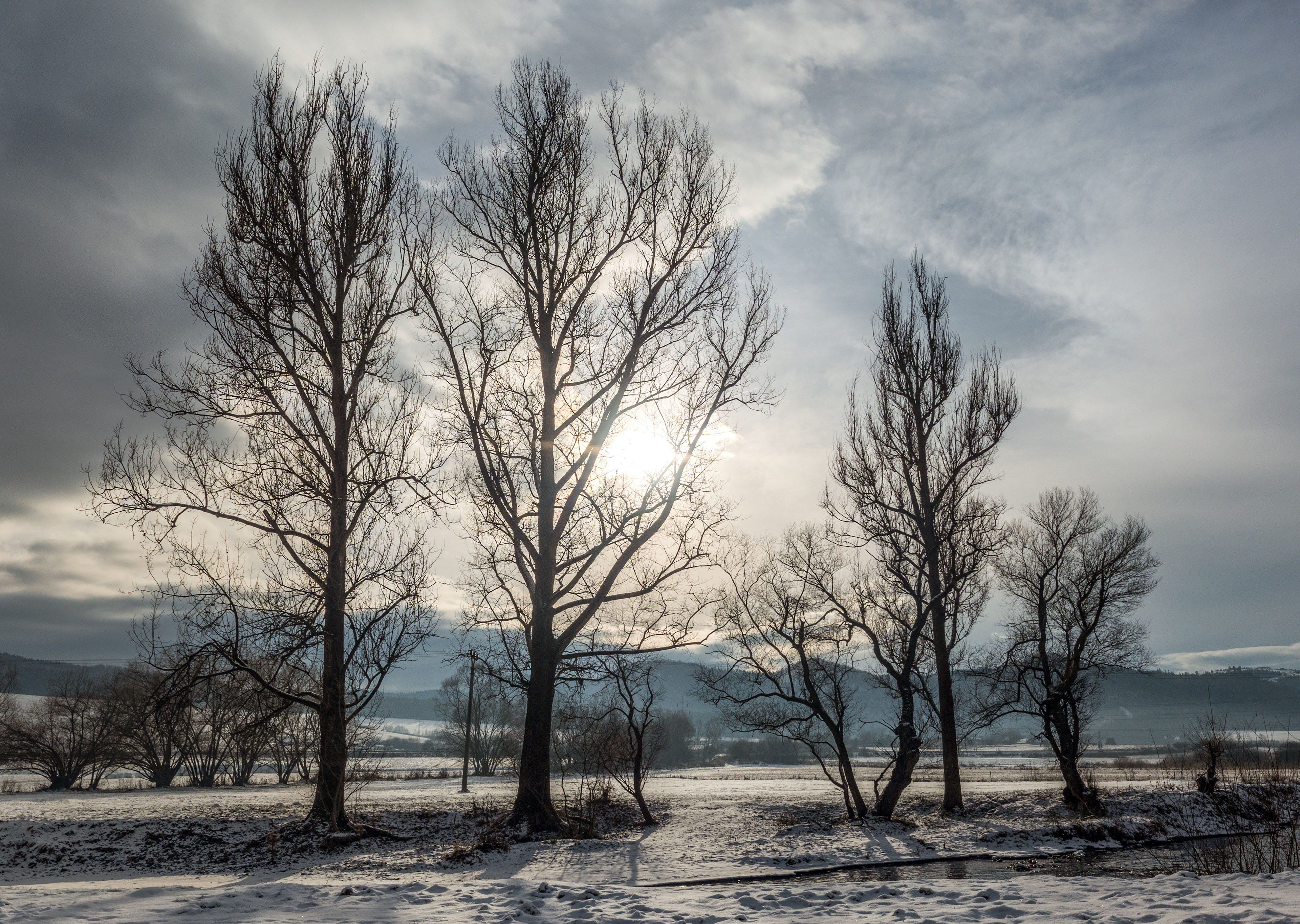 Markušovský skalný hríb a Šikľavá skala (Volovské vrchy)