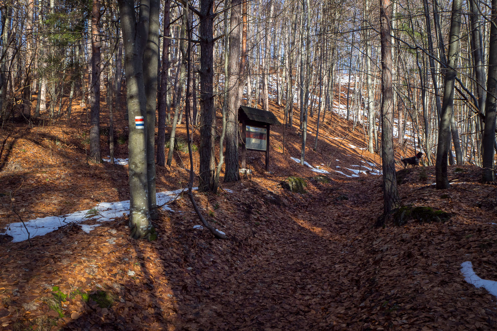 Hrad Muráň z Muráňa (Muránska planina)