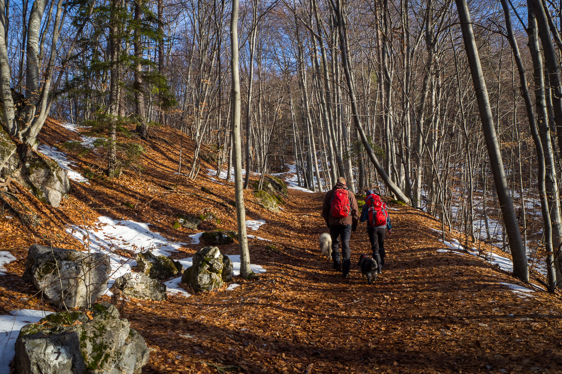 Hrad Muráň z Muráňa (Muránska planina)