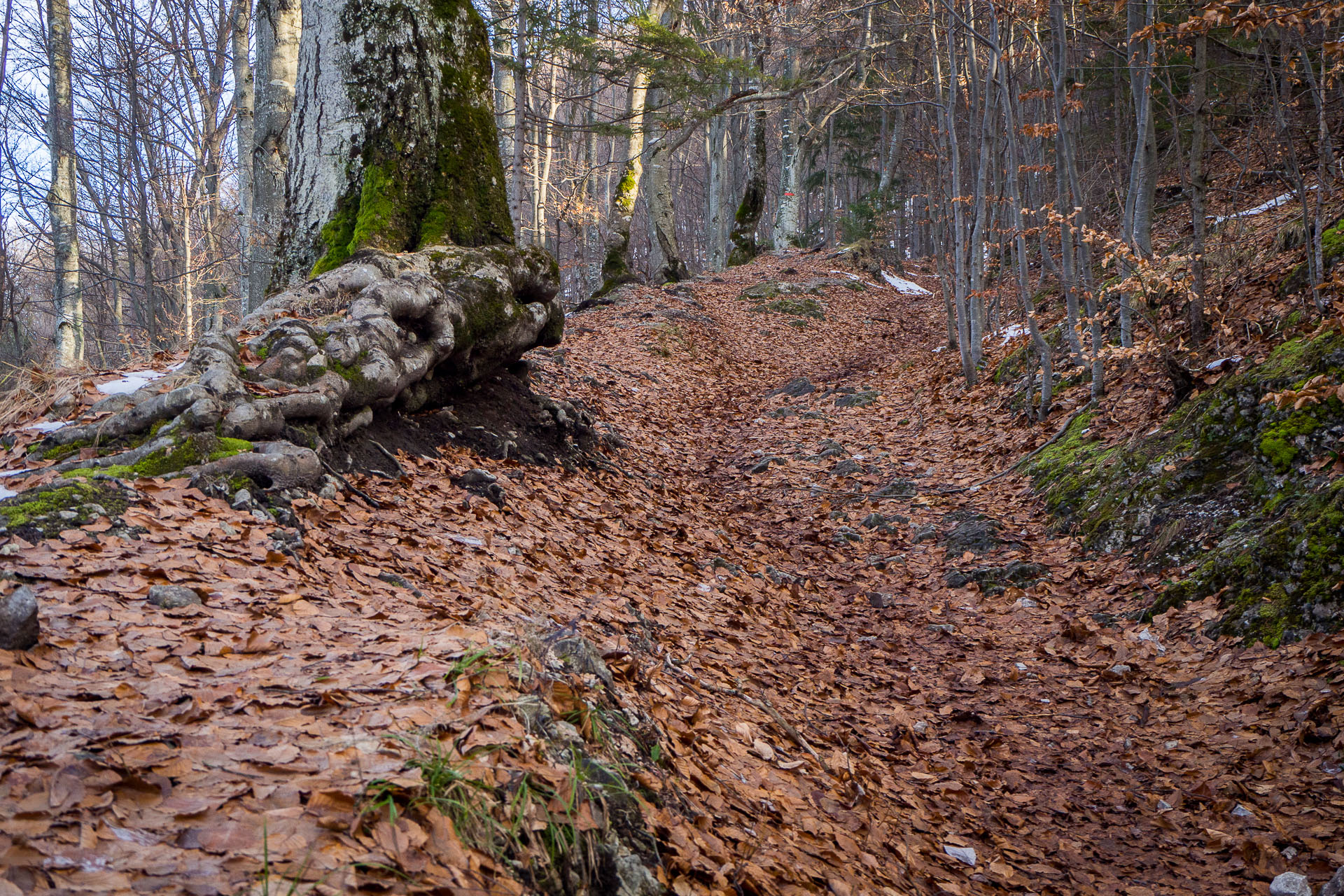 Hrad Muráň z Muráňa (Muránska planina)