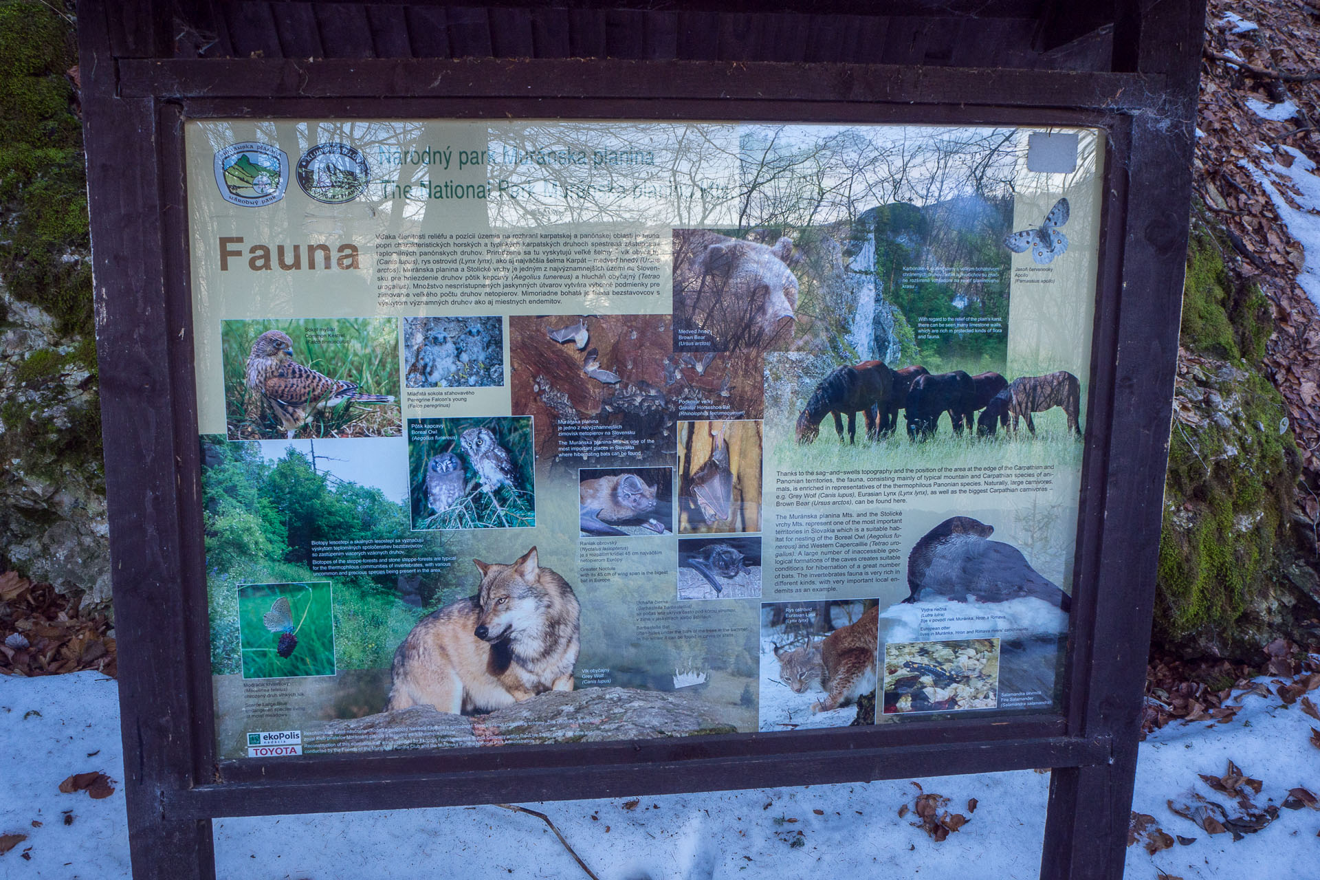 Hrad Muráň z Muráňa (Muránska planina)