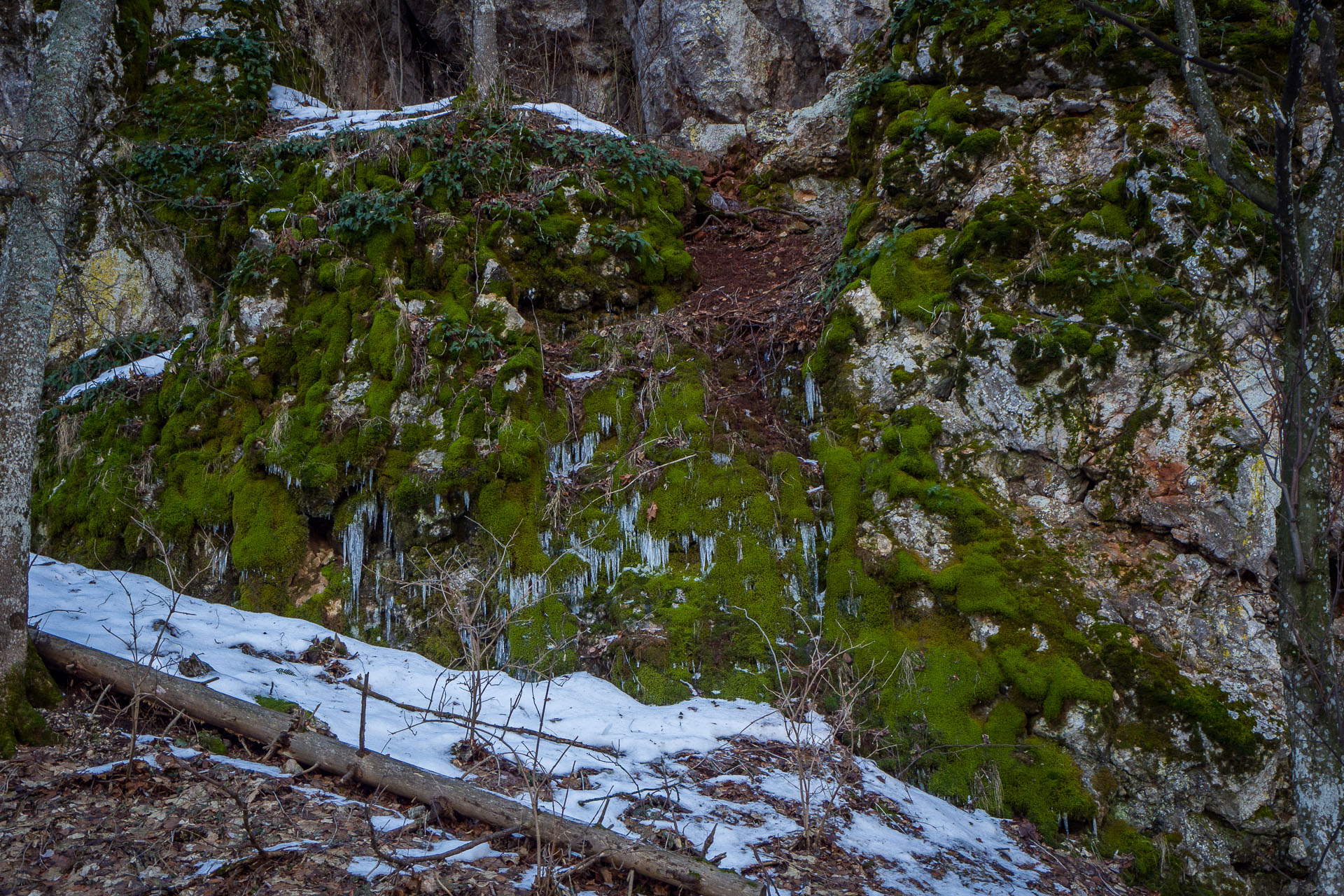 Hrad Muráň z Muráňa (Muránska planina)