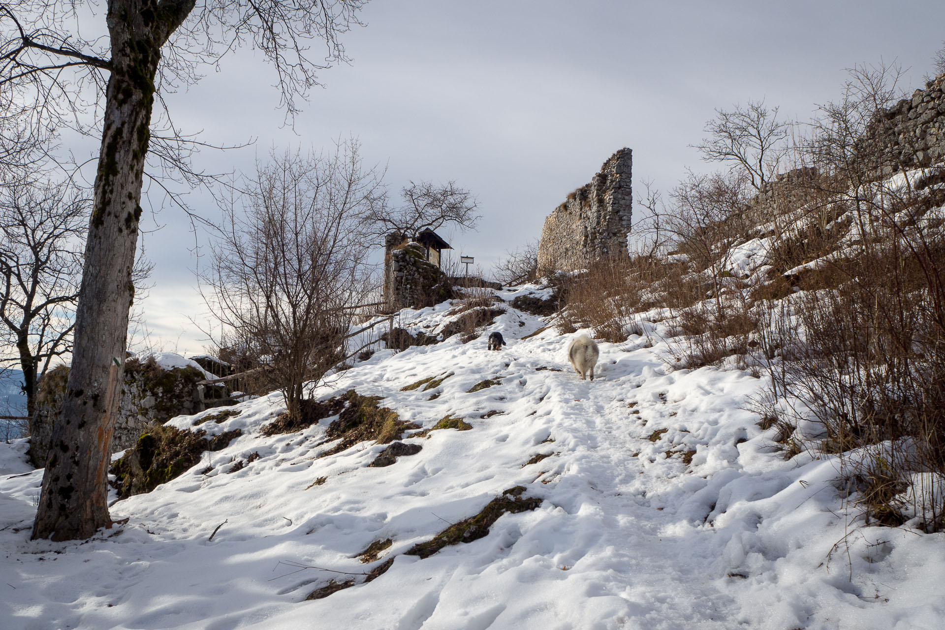 Hrad Muráň z Muráňa (Muránska planina)