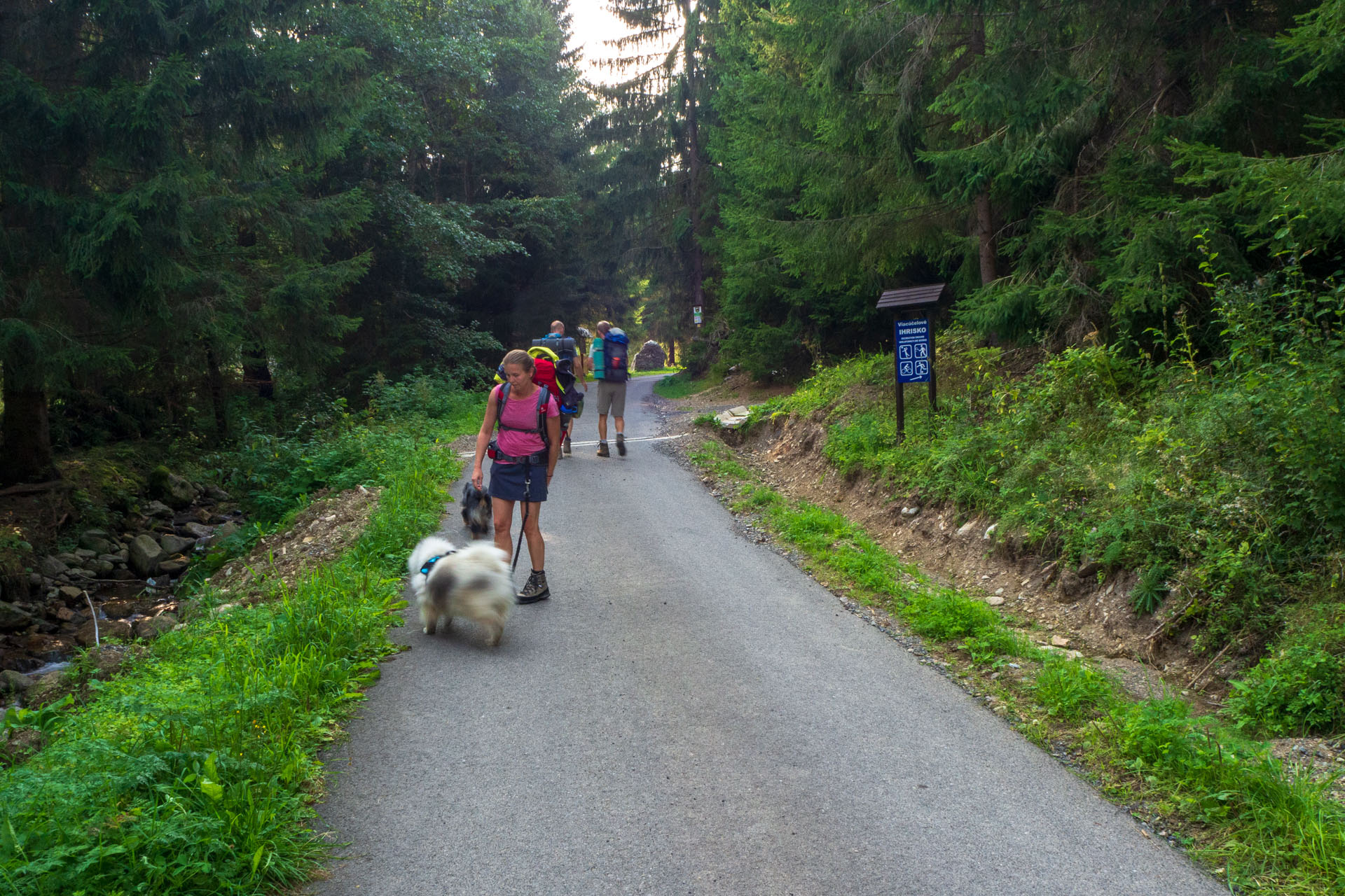 Ohnište z Nižnej Boce (Nízke Tatry)