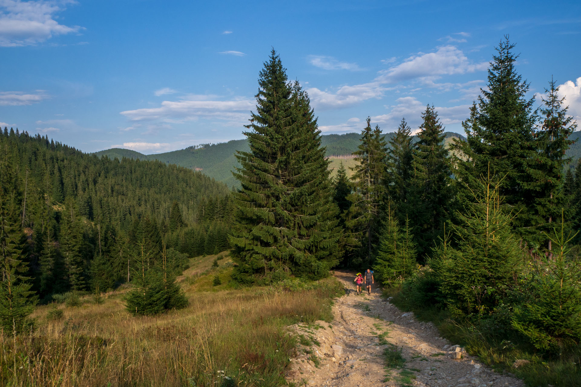 Ohnište z Nižnej Boce (Nízke Tatry)