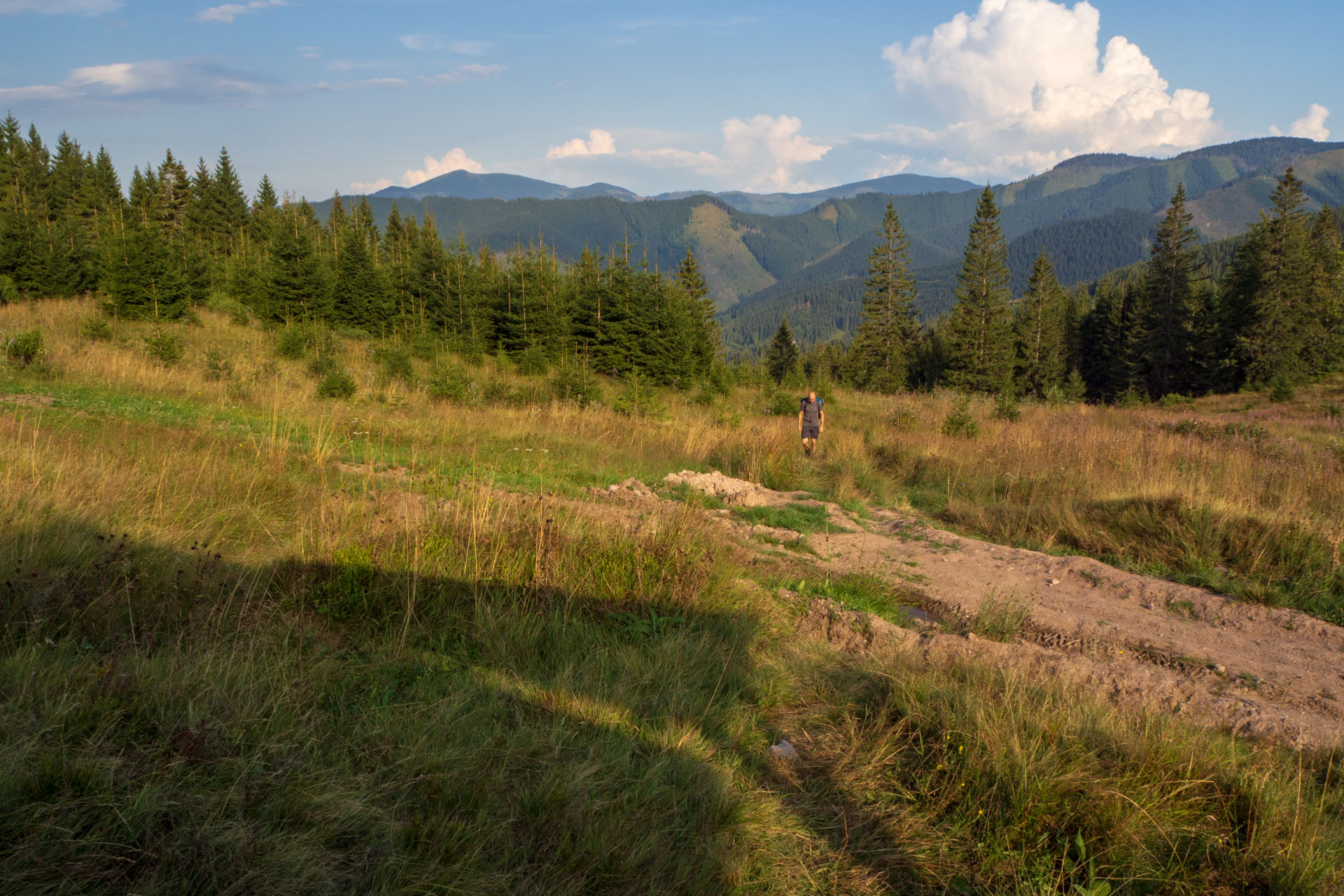 Ohnište z Nižnej Boce (Nízke Tatry)