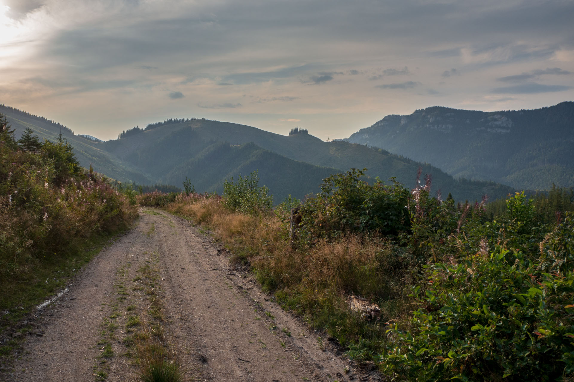 Ohnište z Nižnej Boce (Nízke Tatry)