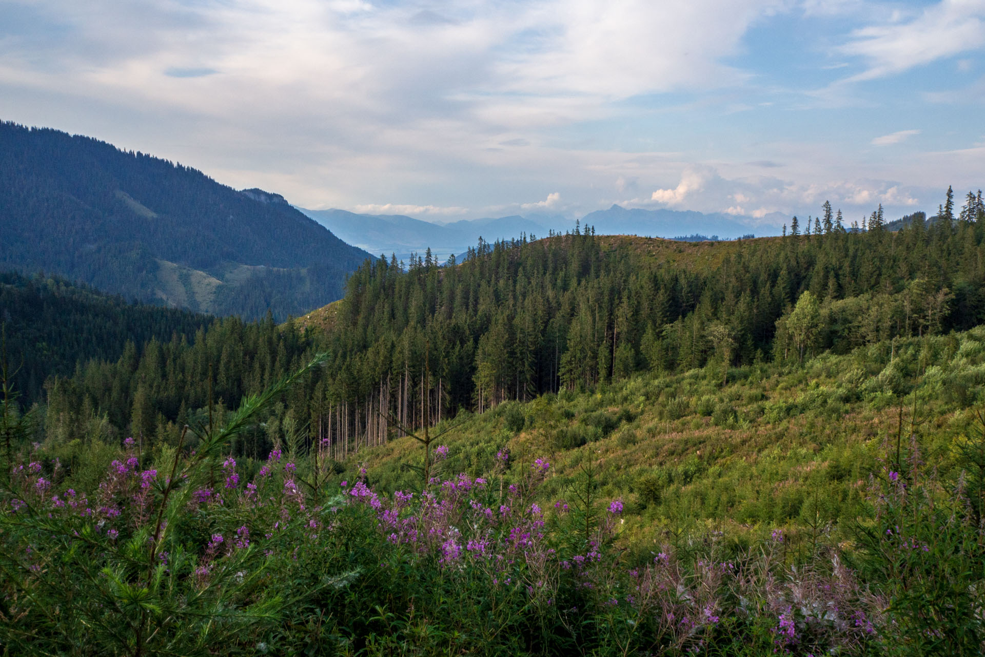 Ohnište z Nižnej Boce (Nízke Tatry)