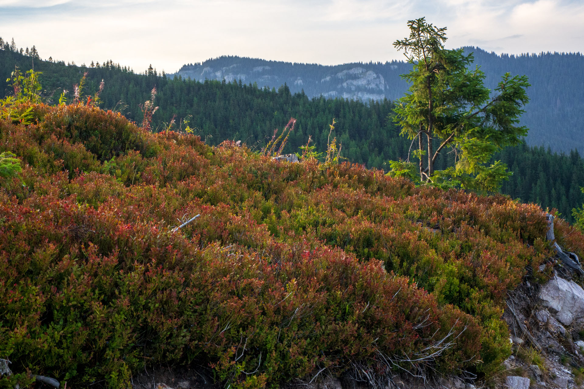 Ohnište z Nižnej Boce (Nízke Tatry)