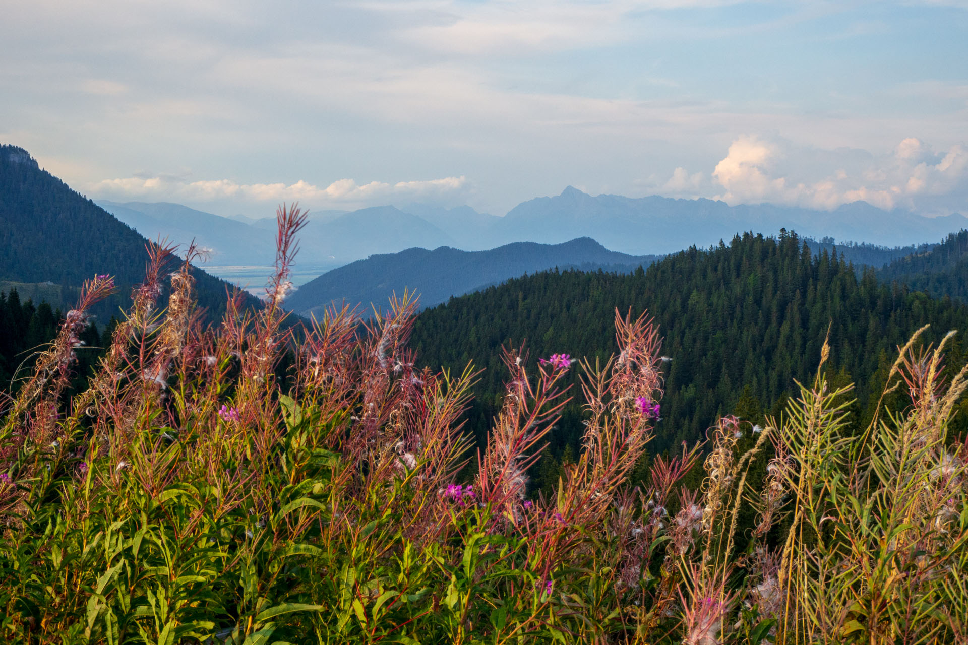 Ohnište z Nižnej Boce (Nízke Tatry)