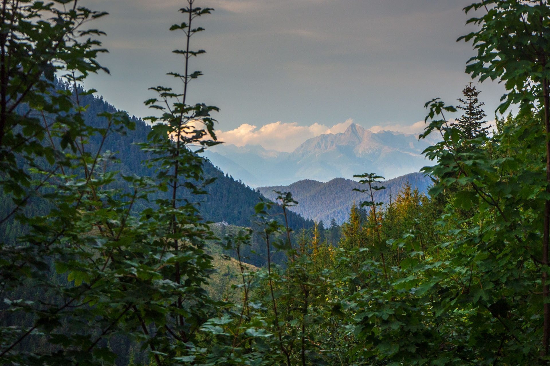 Ohnište z Nižnej Boce (Nízke Tatry)