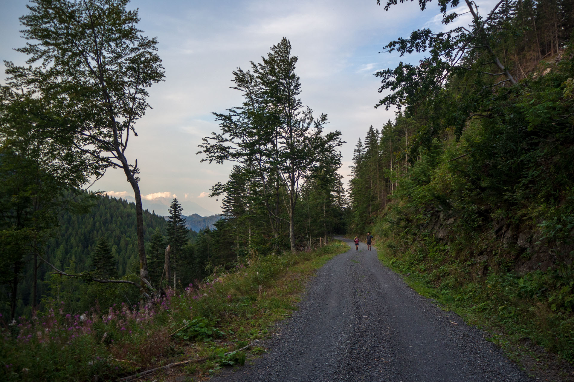 Ohnište z Nižnej Boce (Nízke Tatry)