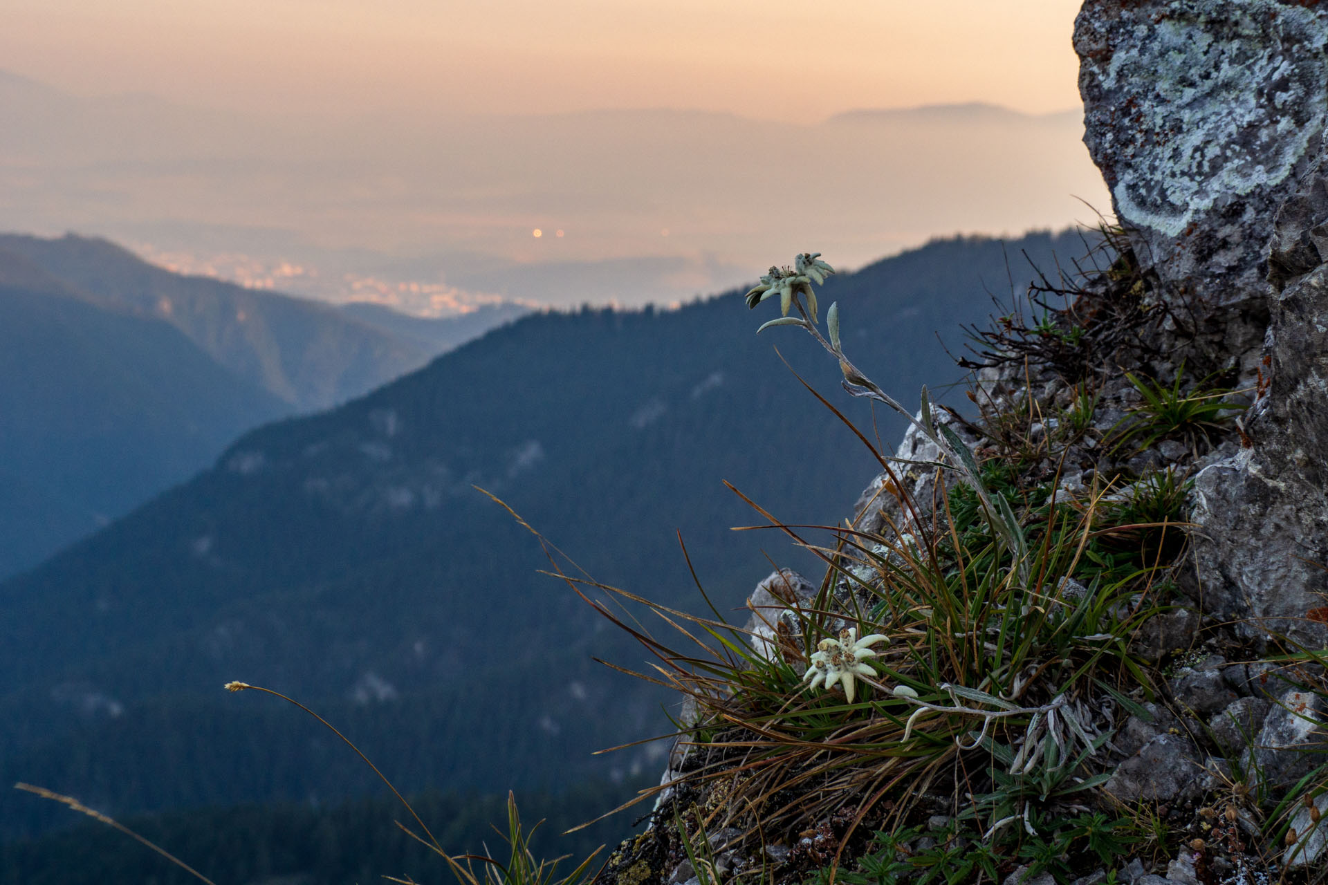 Ohnište z Nižnej Boce (Nízke Tatry)