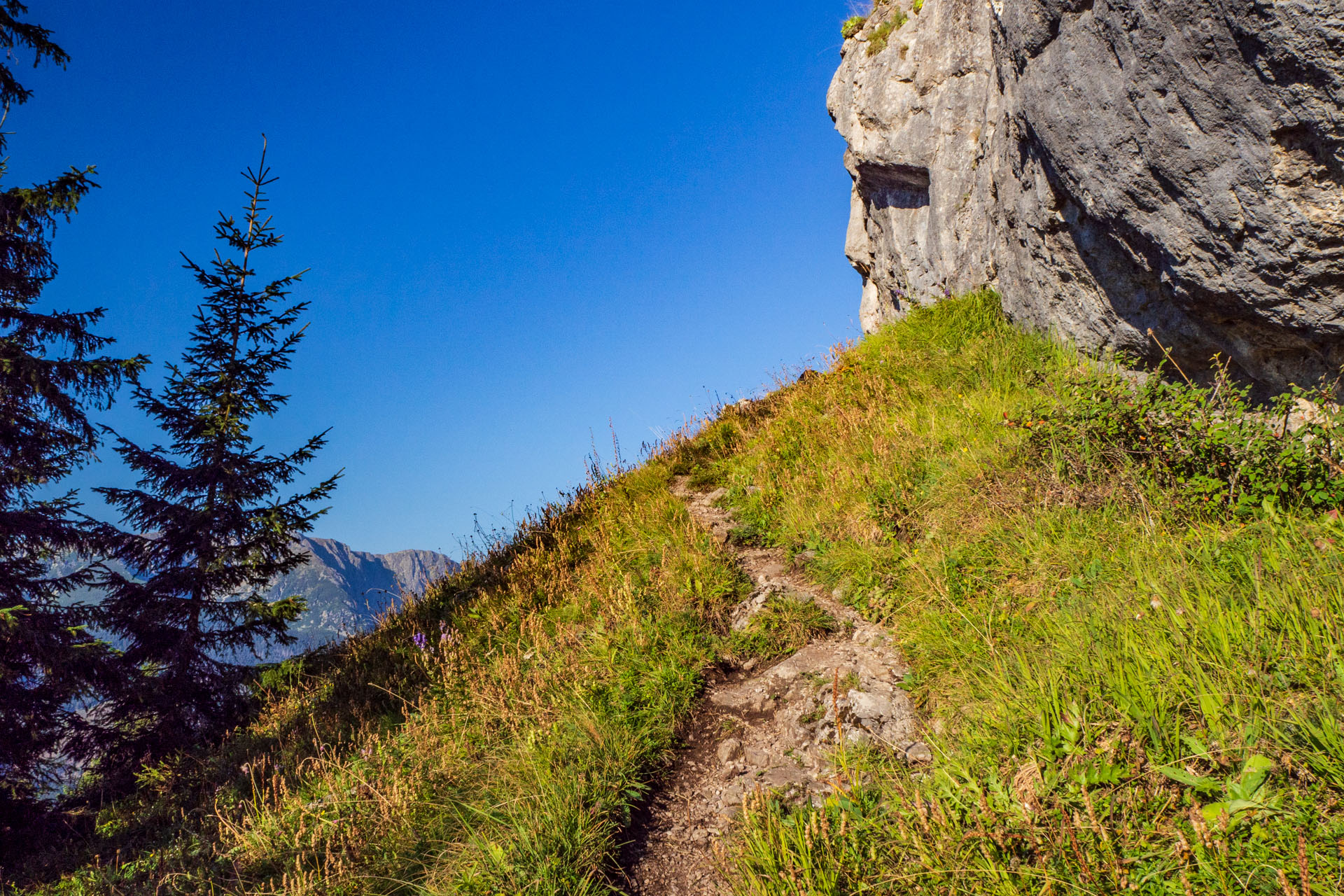 Ohnište z Nižnej Boce (Nízke Tatry)