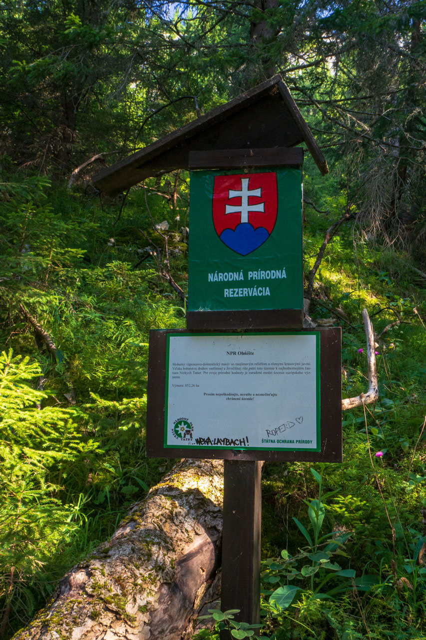 Ohnište z Nižnej Boce (Nízke Tatry)