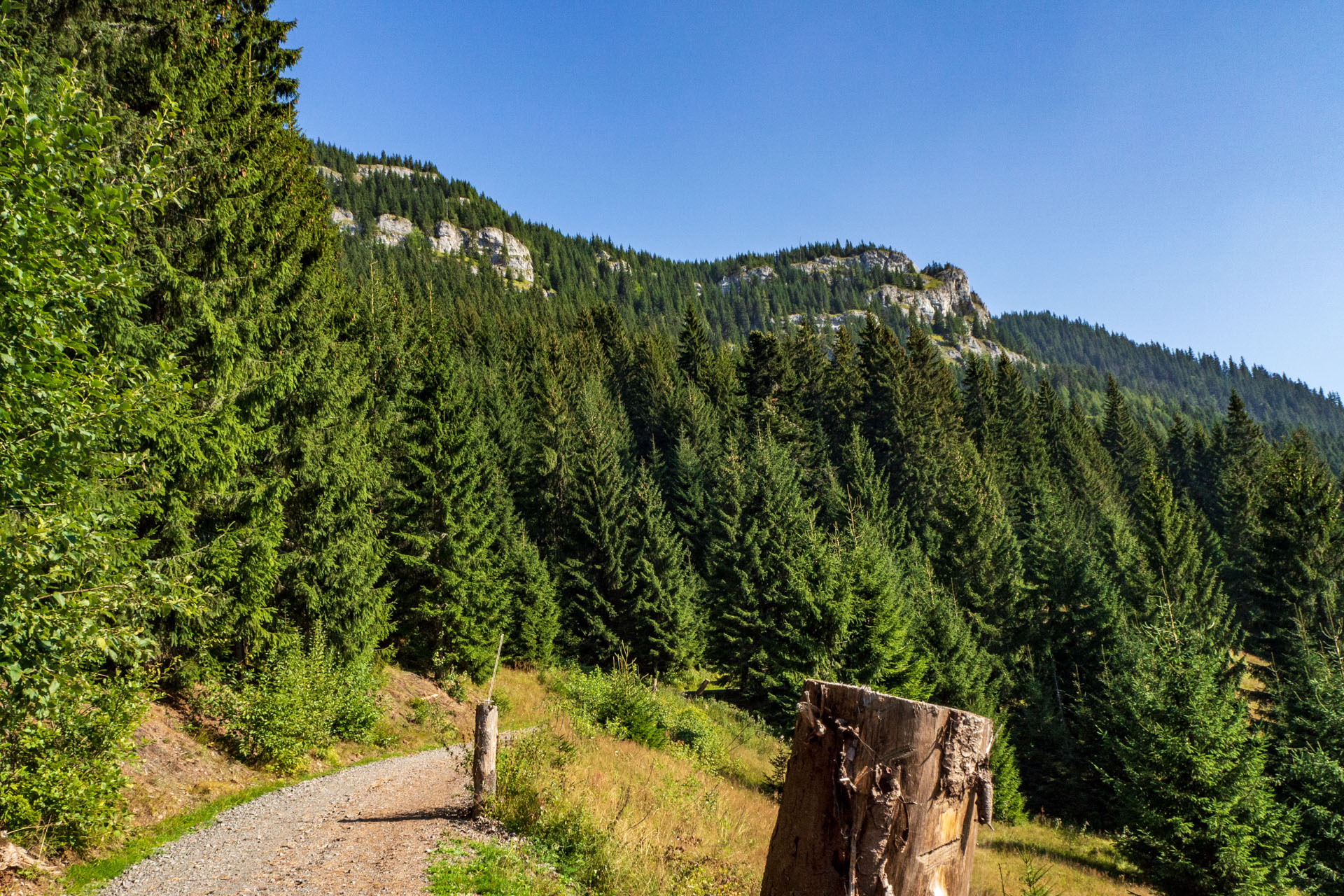 Ohnište z Nižnej Boce (Nízke Tatry)