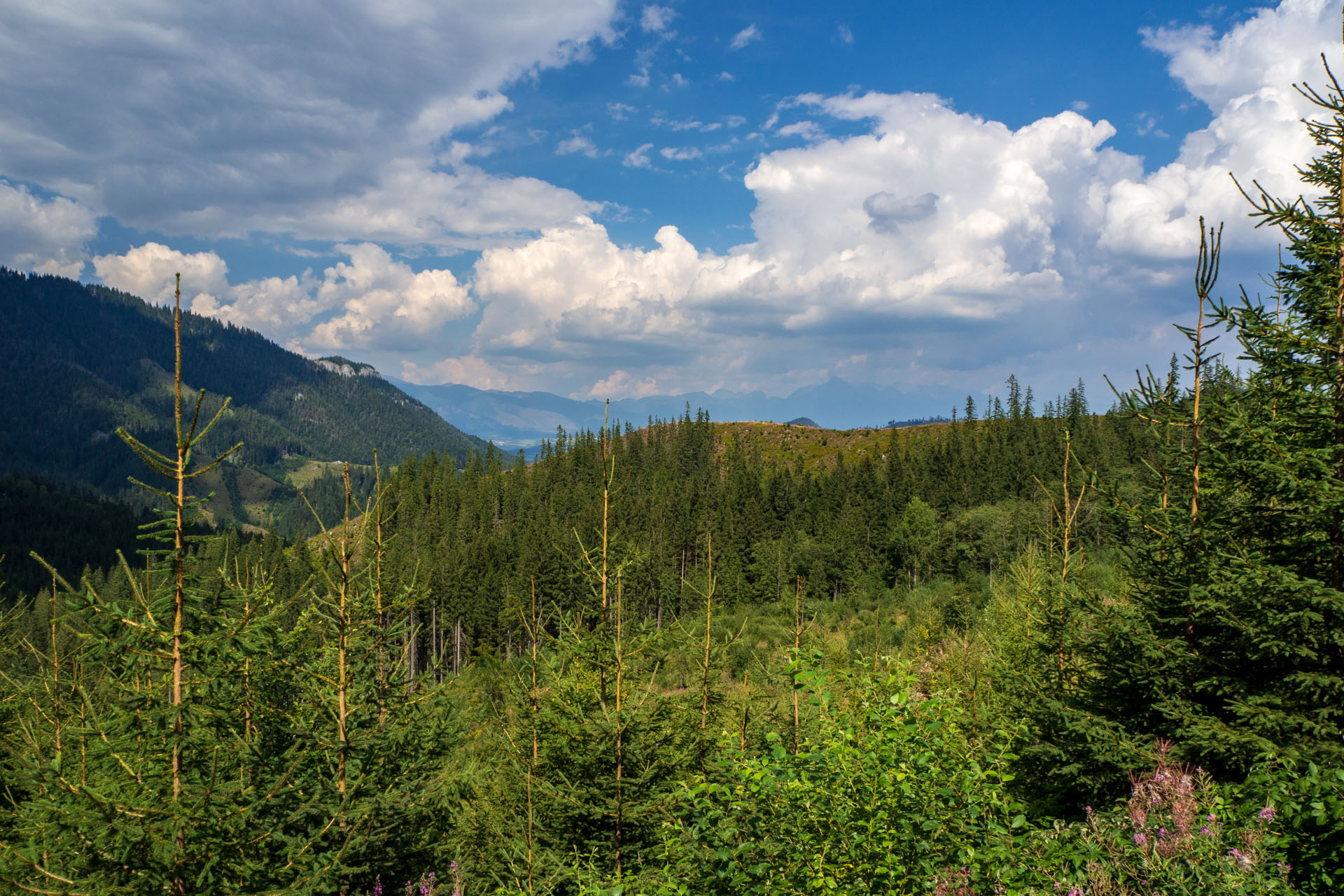 Ohnište z Nižnej Boce (Nízke Tatry)