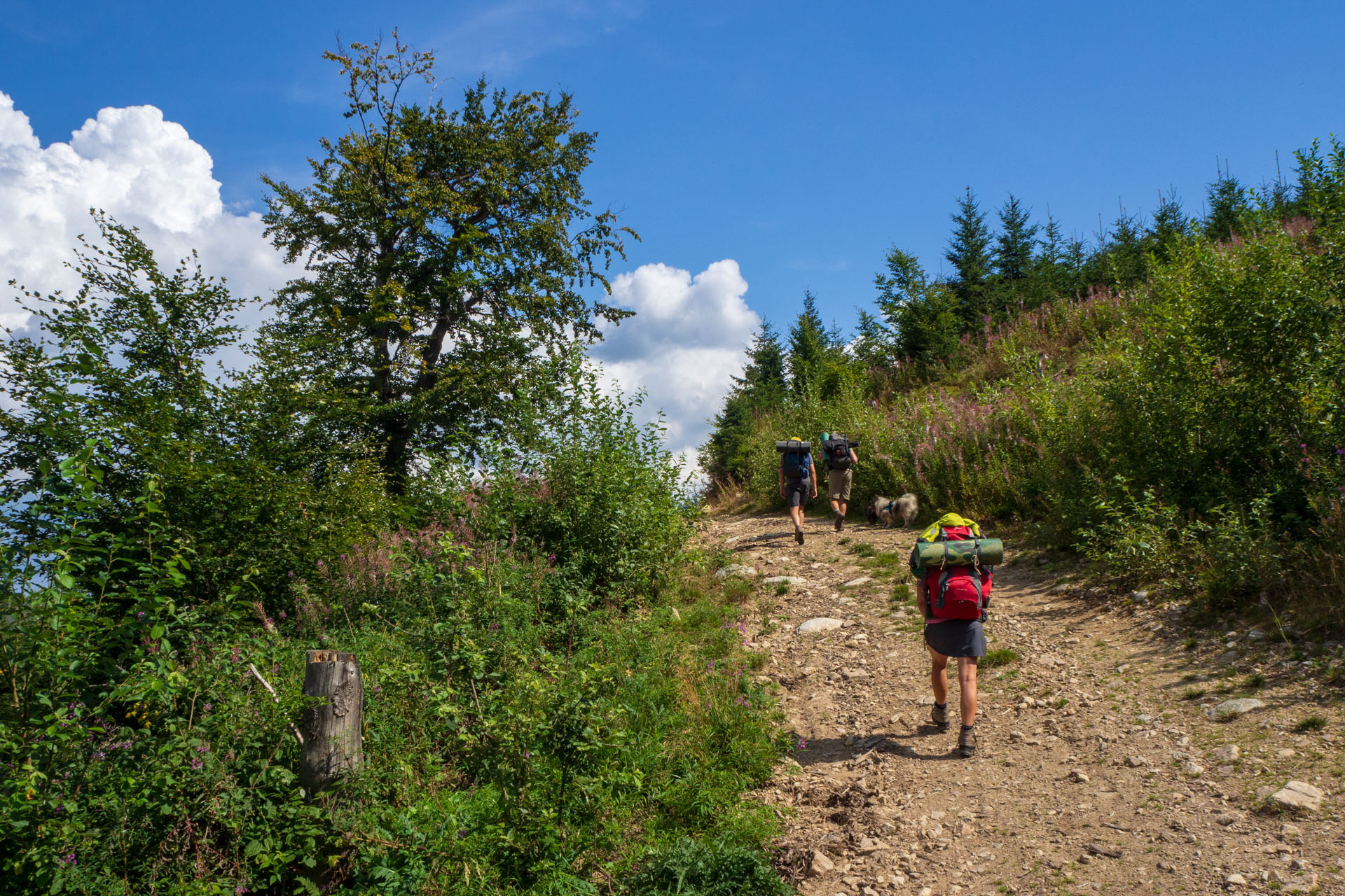 Ohnište z Nižnej Boce (Nízke Tatry)