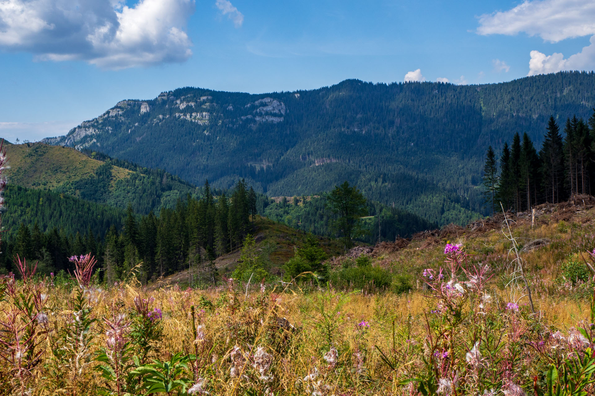 Ohnište z Nižnej Boce (Nízke Tatry)