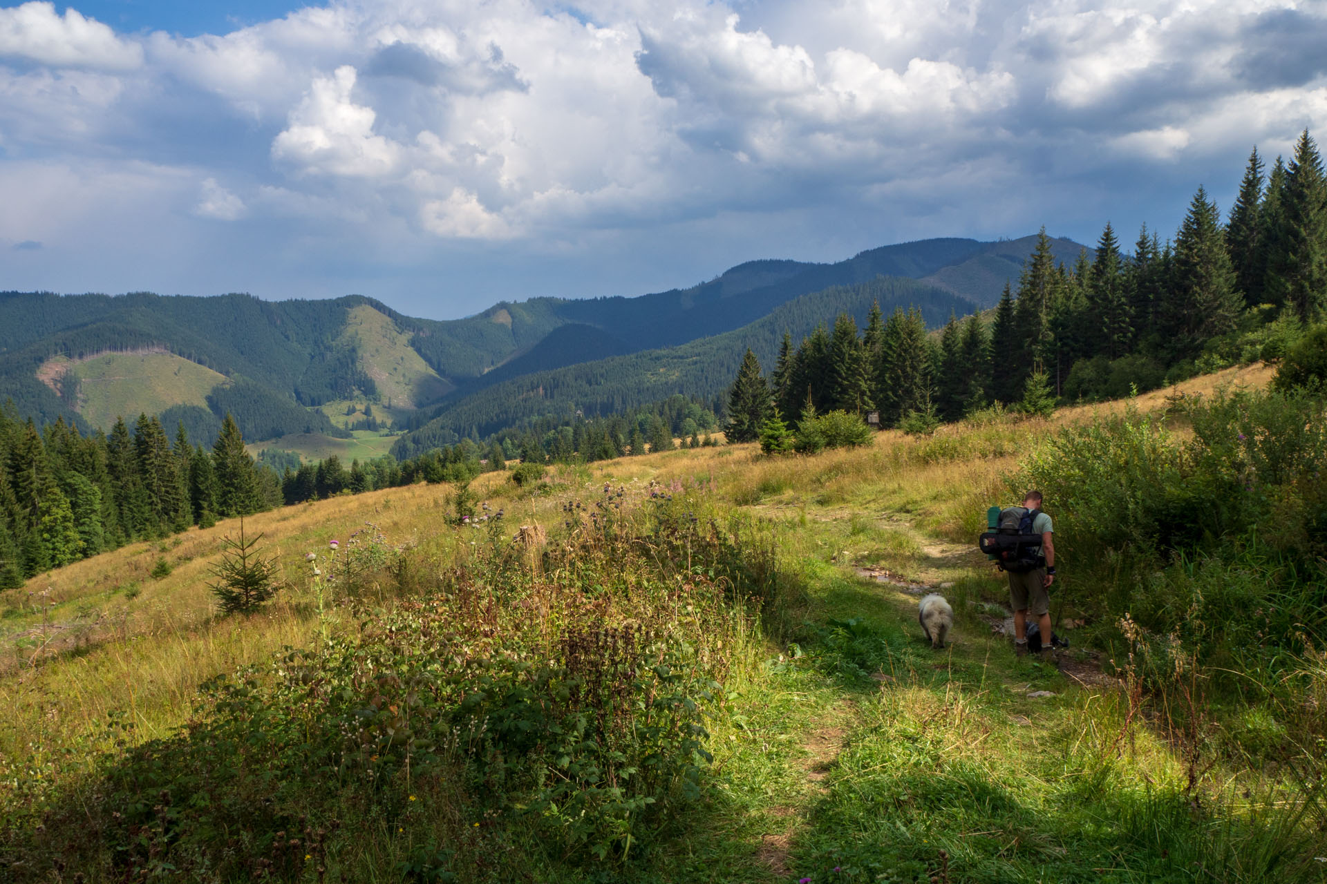 Ohnište z Nižnej Boce (Nízke Tatry)