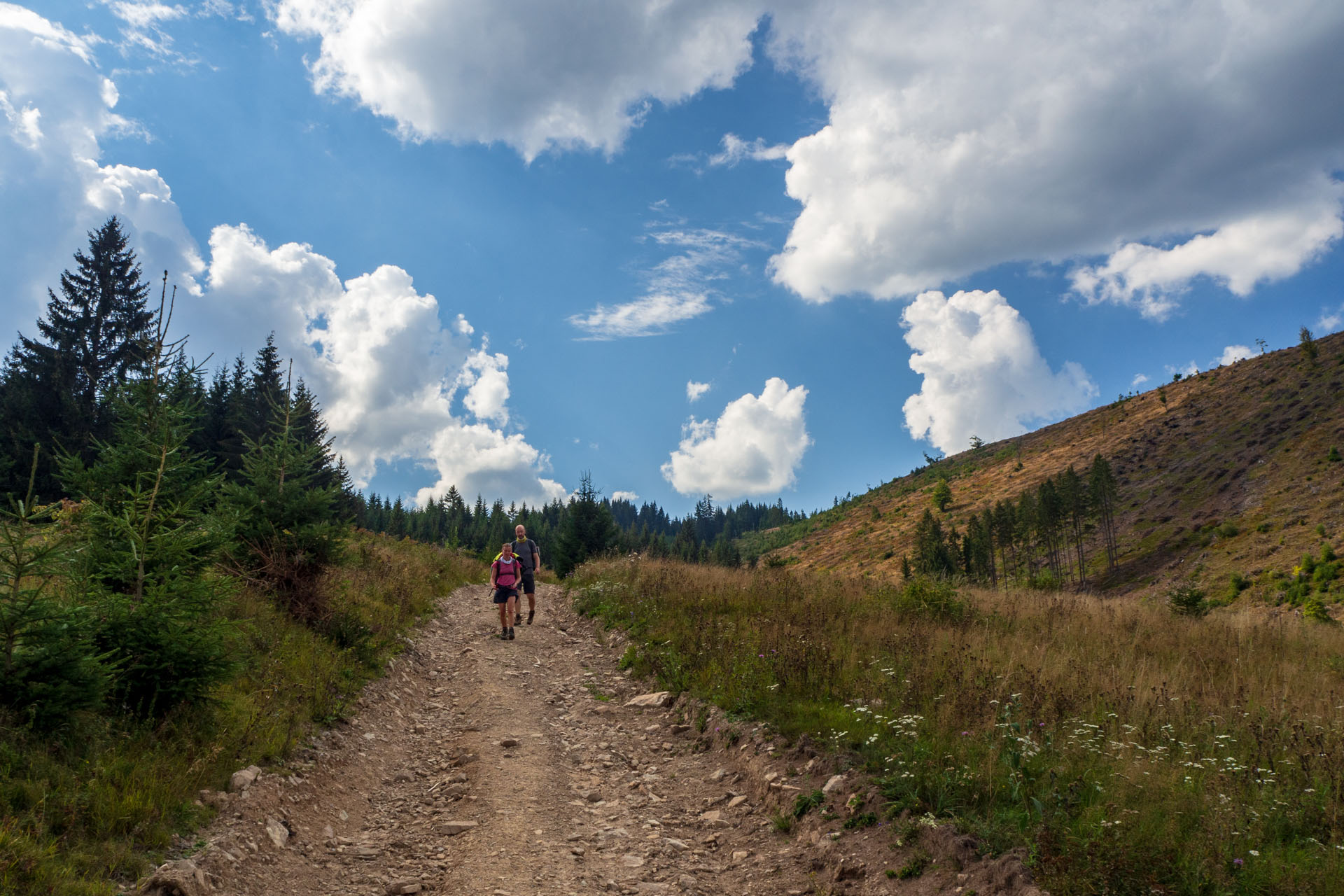 Ohnište z Nižnej Boce (Nízke Tatry)