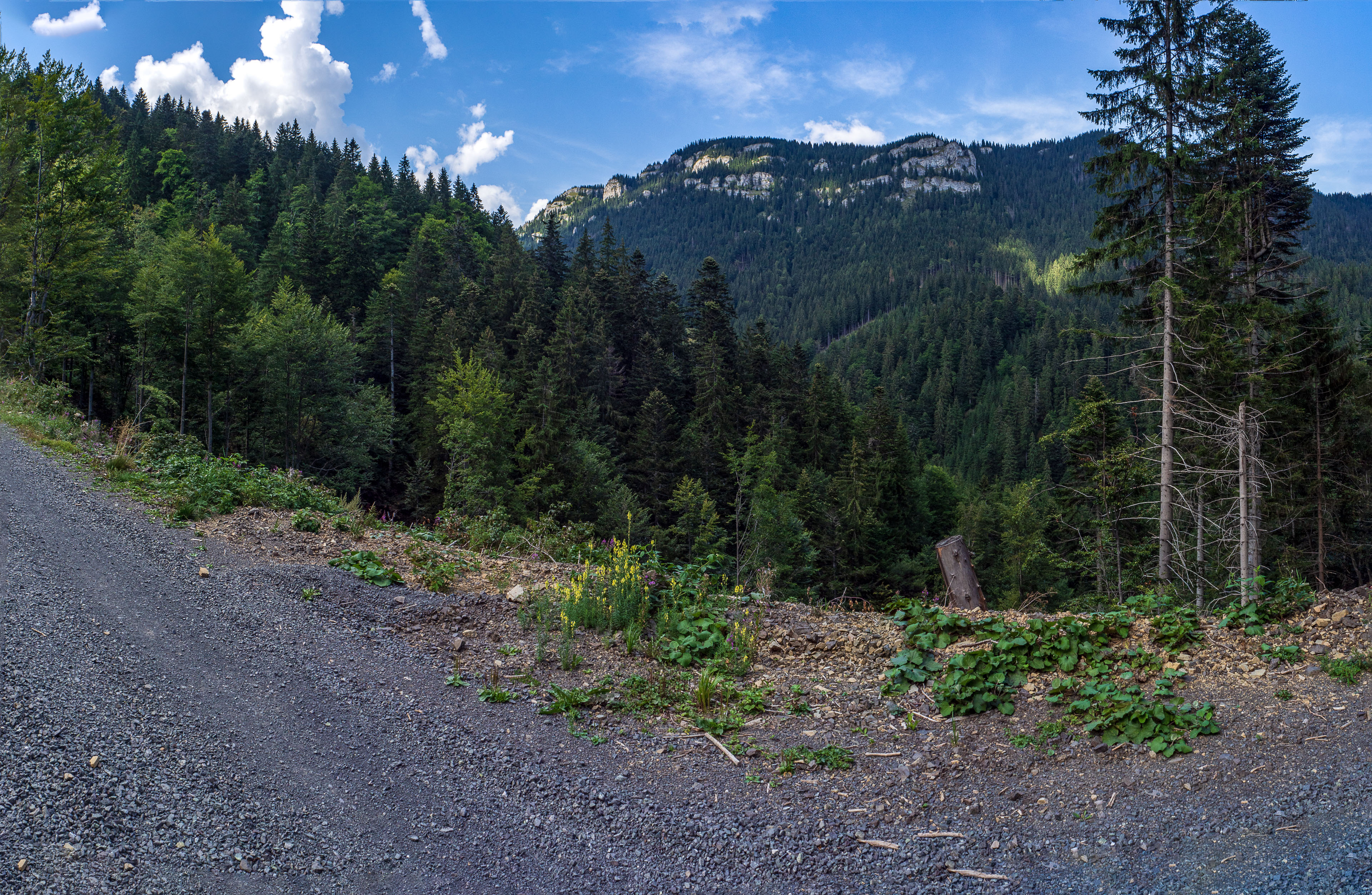 Ohnište z Nižnej Boce (Nízke Tatry)