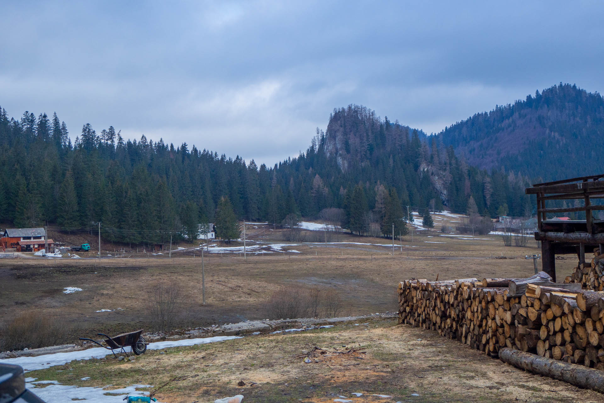 Ondrejisko (Borovniak) z Dobšinskej ľadovej jaskyne (Slovenský raj)