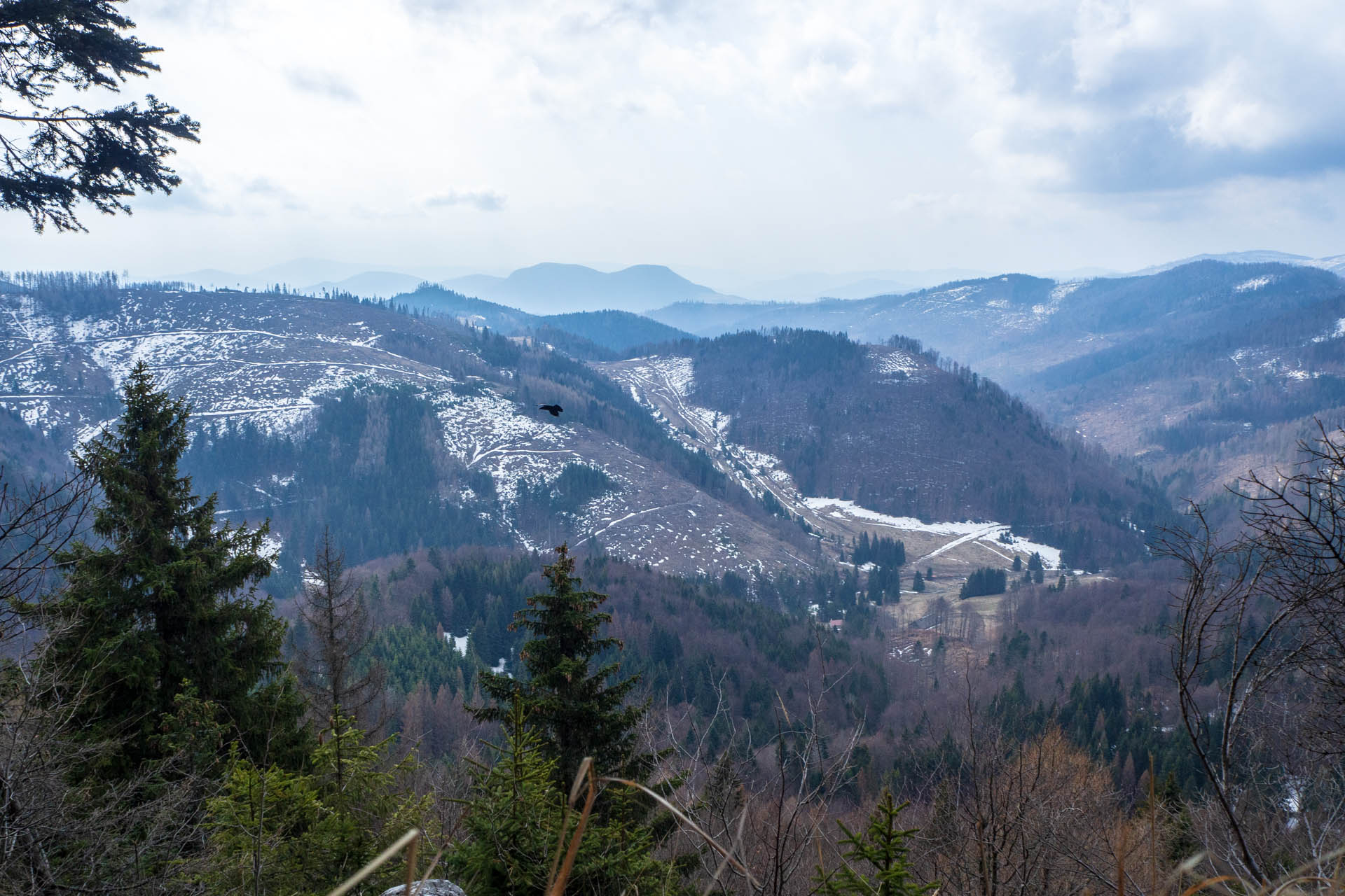 Ondrejisko (Borovniak) z Dobšinskej ľadovej jaskyne (Slovenský raj)