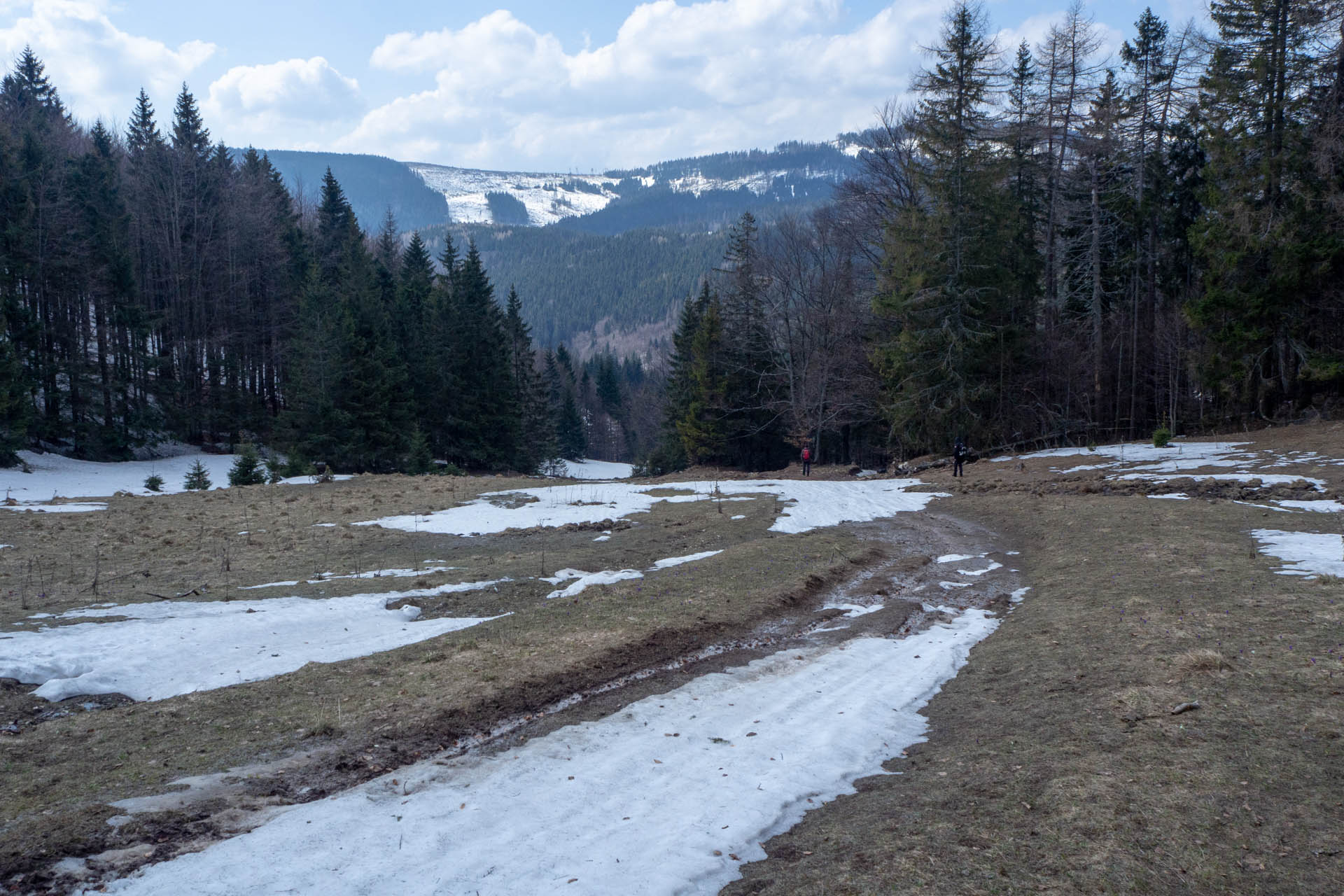 Ondrejisko (Borovniak) z Dobšinskej ľadovej jaskyne (Slovenský raj)