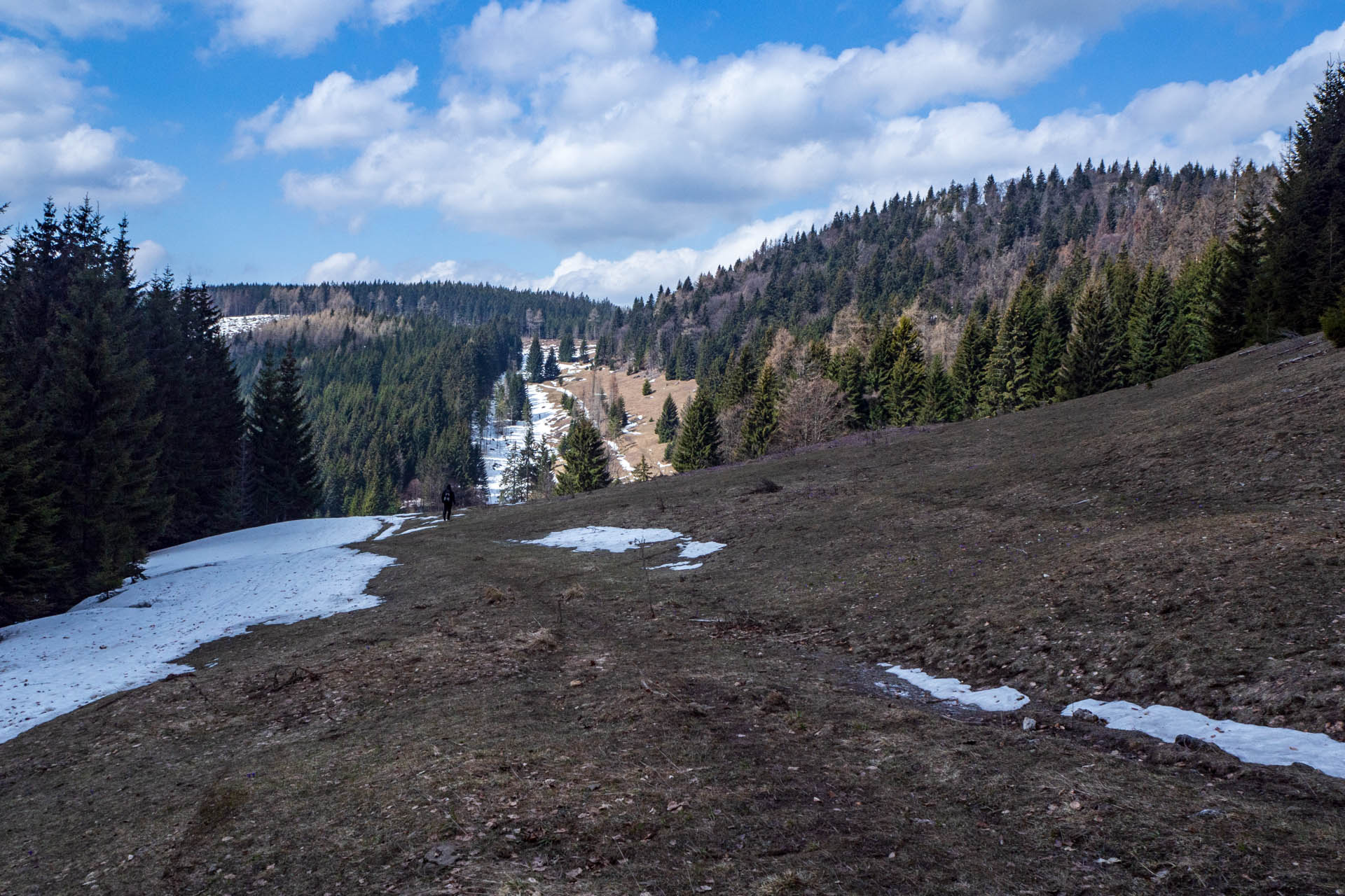 Ondrejisko (Borovniak) z Dobšinskej ľadovej jaskyne (Slovenský raj)