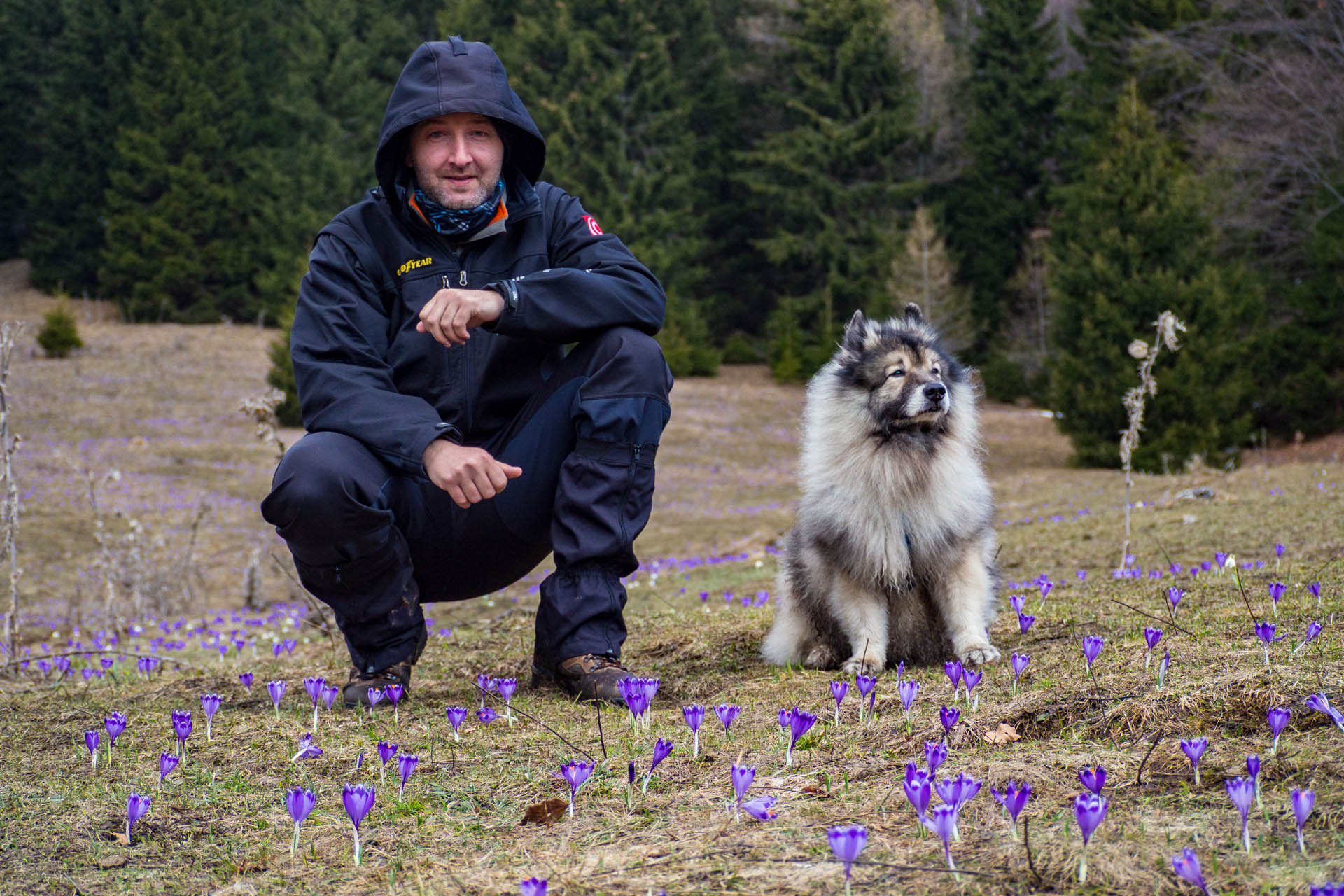 Ondrejisko (Borovniak) z Dobšinskej ľadovej jaskyne (Slovenský raj)