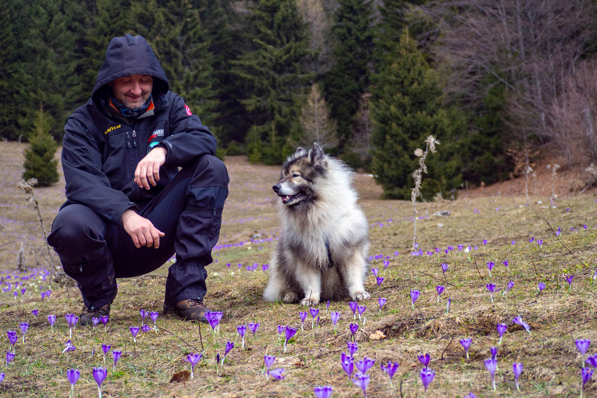 Ondrejisko (Borovniak) z Dobšinskej ľadovej jaskyne (Slovenský raj)