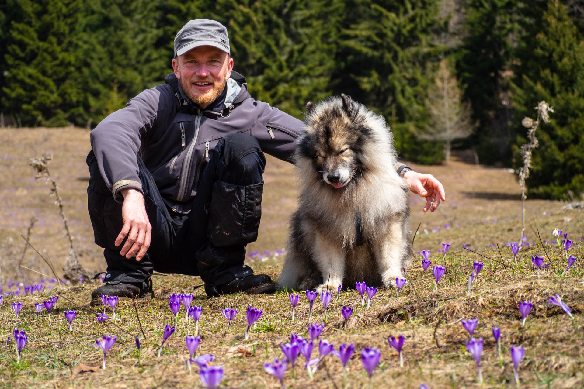 Ondrejisko (Borovniak) z Dobšinskej ľadovej jaskyne (Slovenský raj)