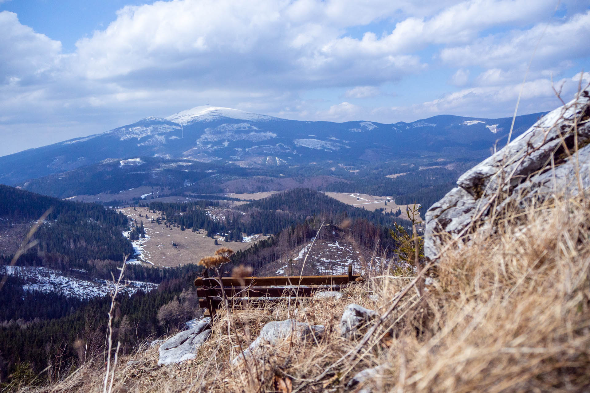 Ondrejisko (Borovniak) z Dobšinskej ľadovej jaskyne (Slovenský raj)