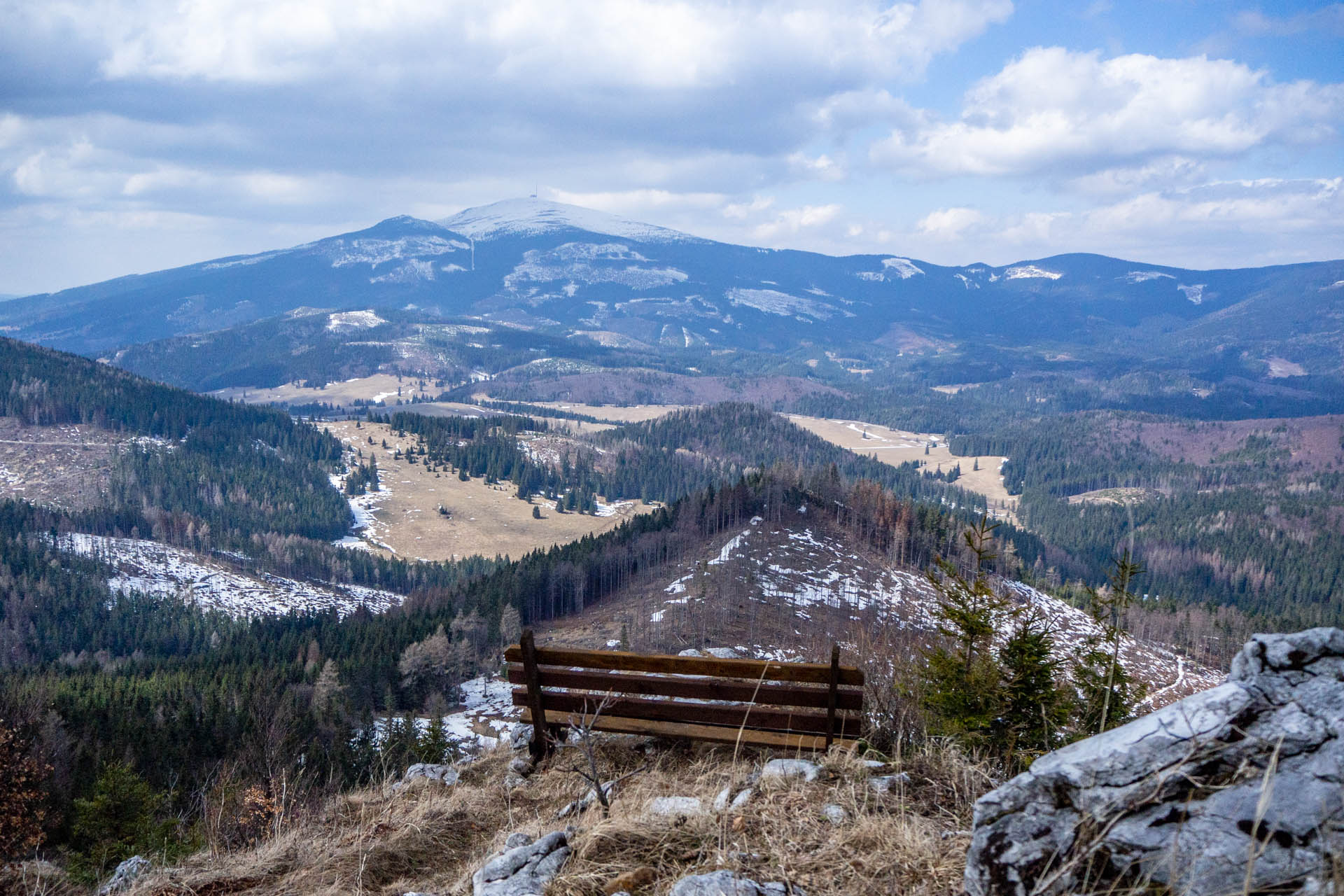 Ondrejisko (Borovniak) z Dobšinskej ľadovej jaskyne (Slovenský raj)