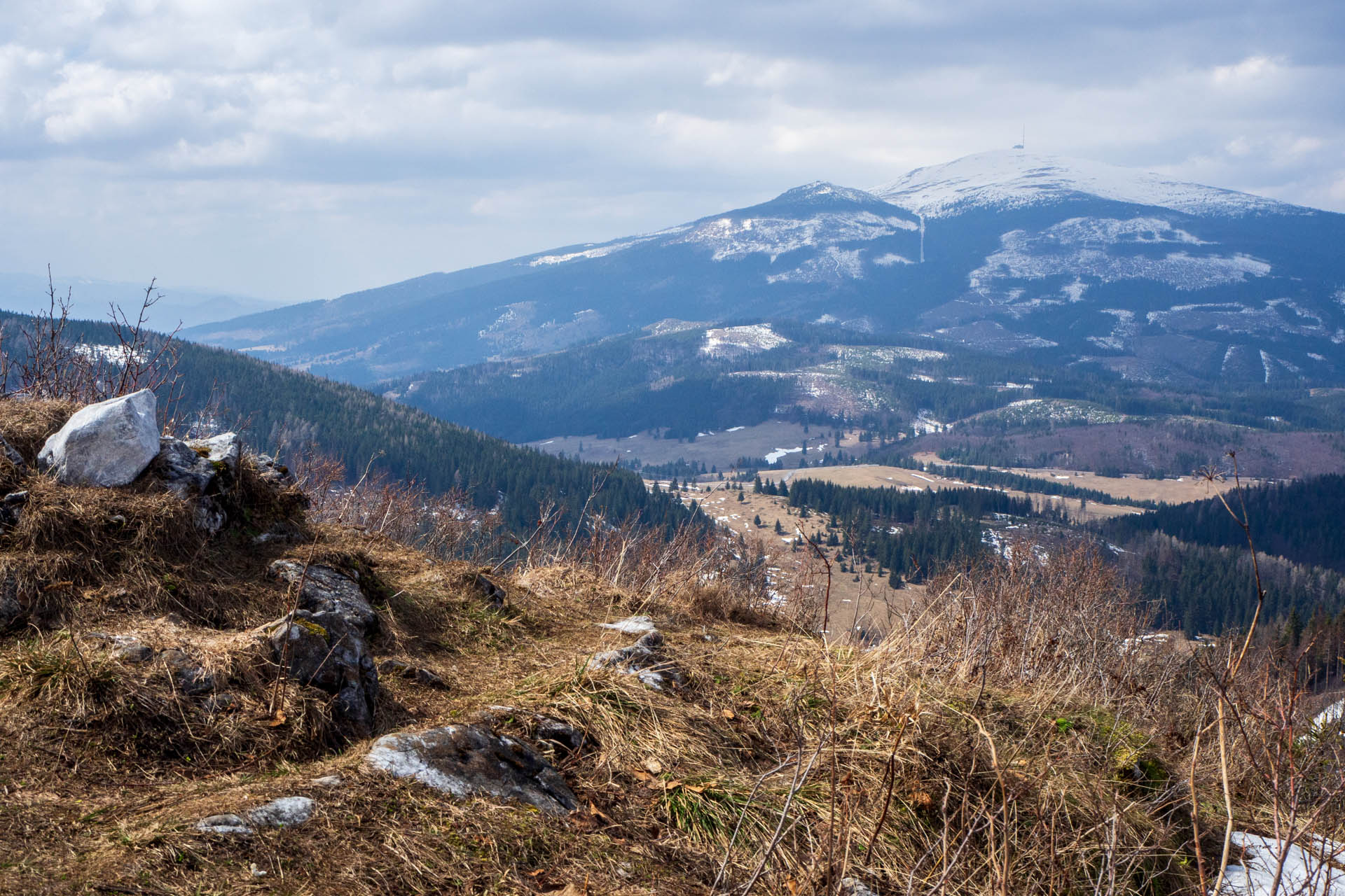 Ondrejisko (Borovniak) z Dobšinskej ľadovej jaskyne (Slovenský raj)