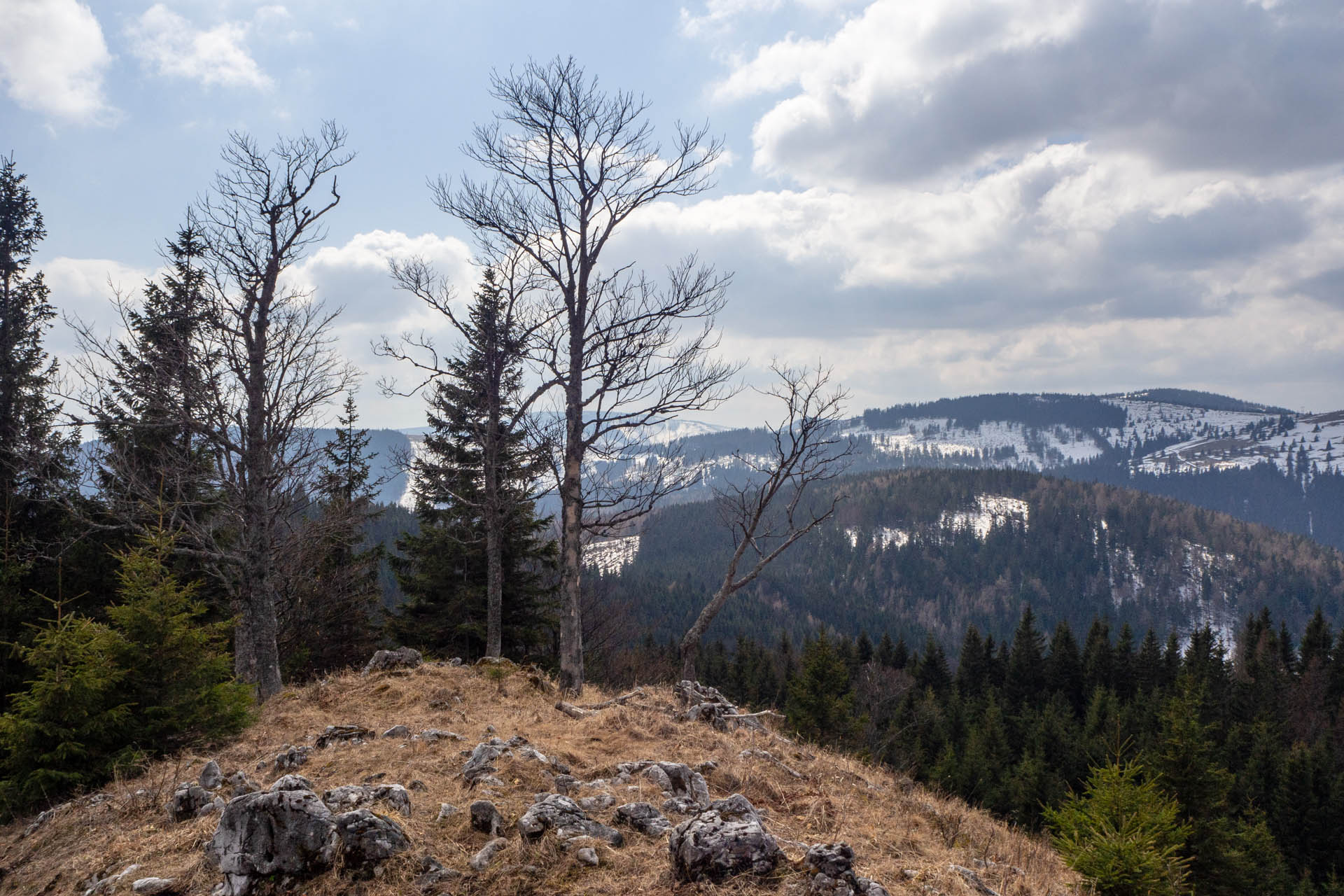 Ondrejisko (Borovniak) z Dobšinskej ľadovej jaskyne (Slovenský raj)