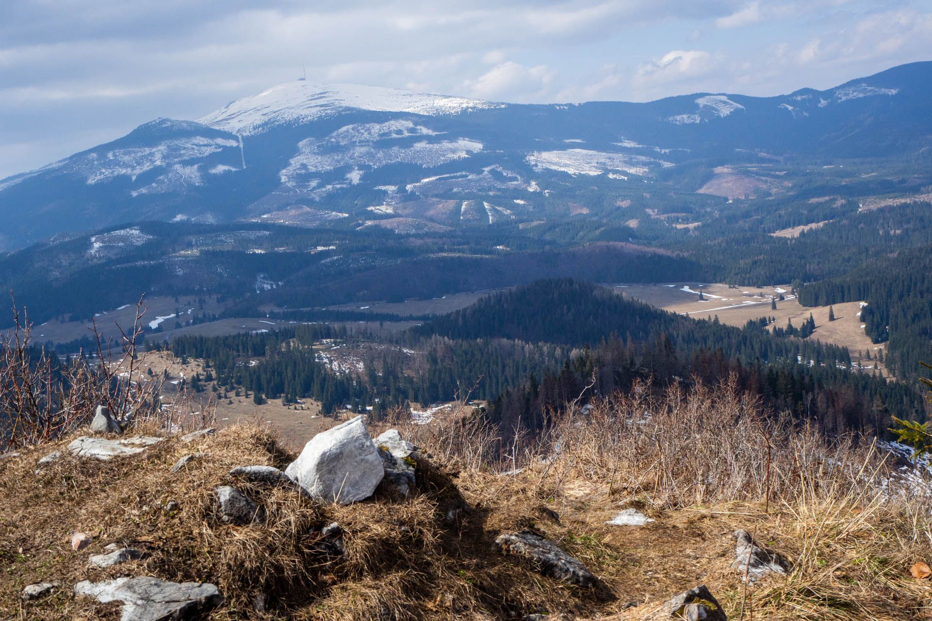 Ondrejisko (Borovniak) z Dobšinskej ľadovej jaskyne (Slovenský raj)