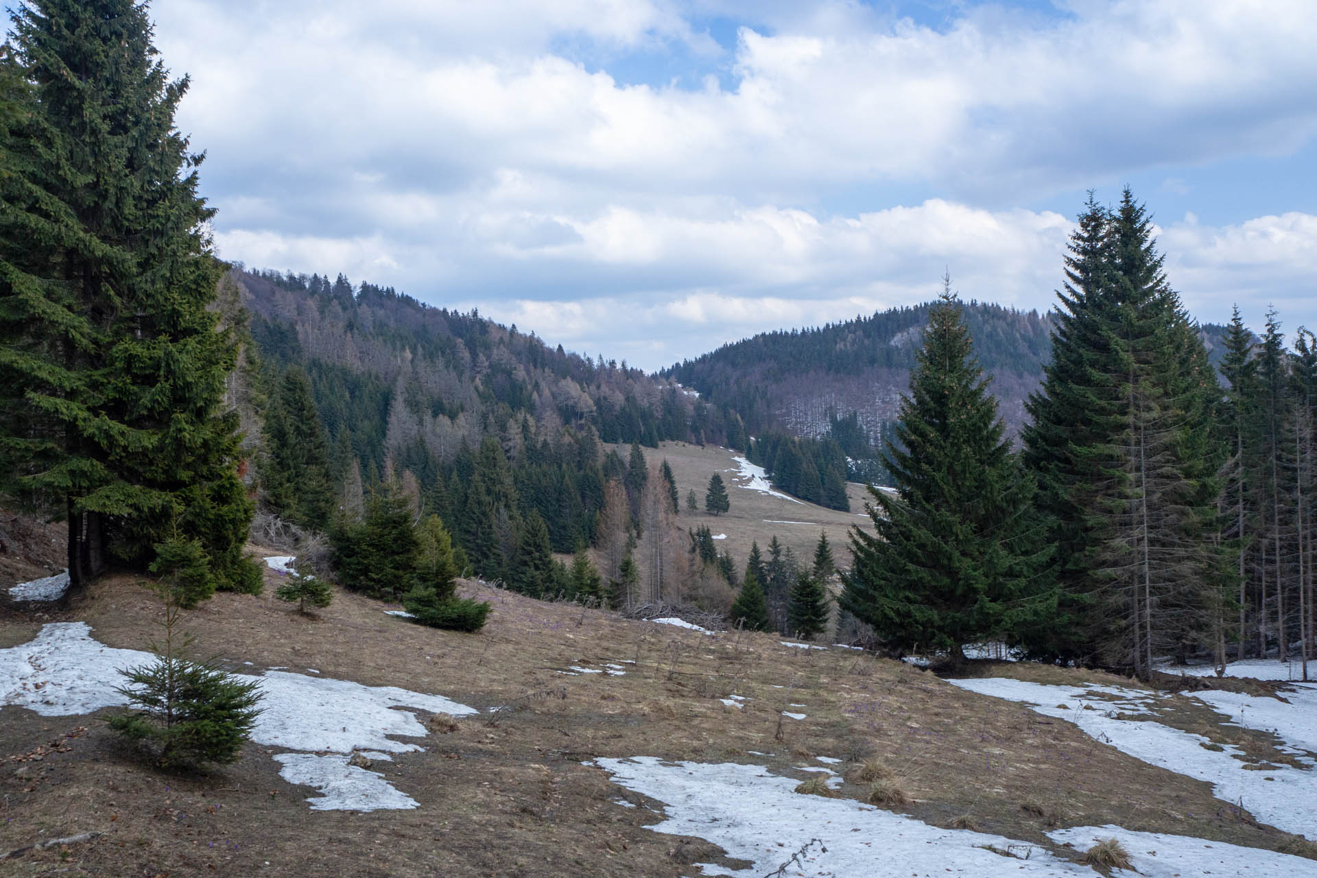 Ondrejisko (Borovniak) z Dobšinskej ľadovej jaskyne (Slovenský raj)