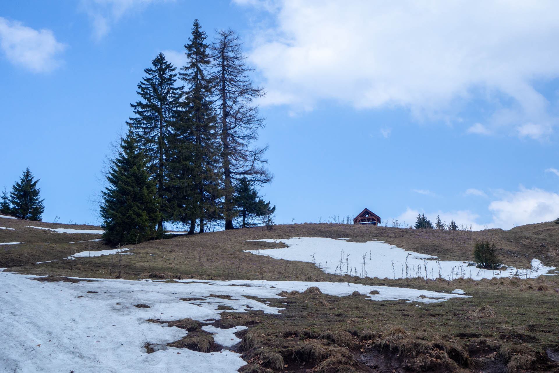 Ondrejisko (Borovniak) z Dobšinskej ľadovej jaskyne (Slovenský raj)