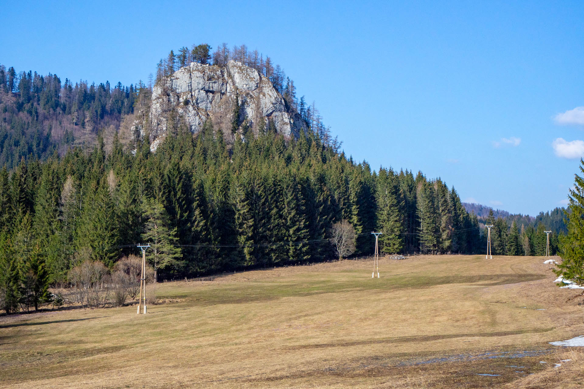 Ondrejisko (Borovniak) z Dobšinskej ľadovej jaskyne (Slovenský raj)