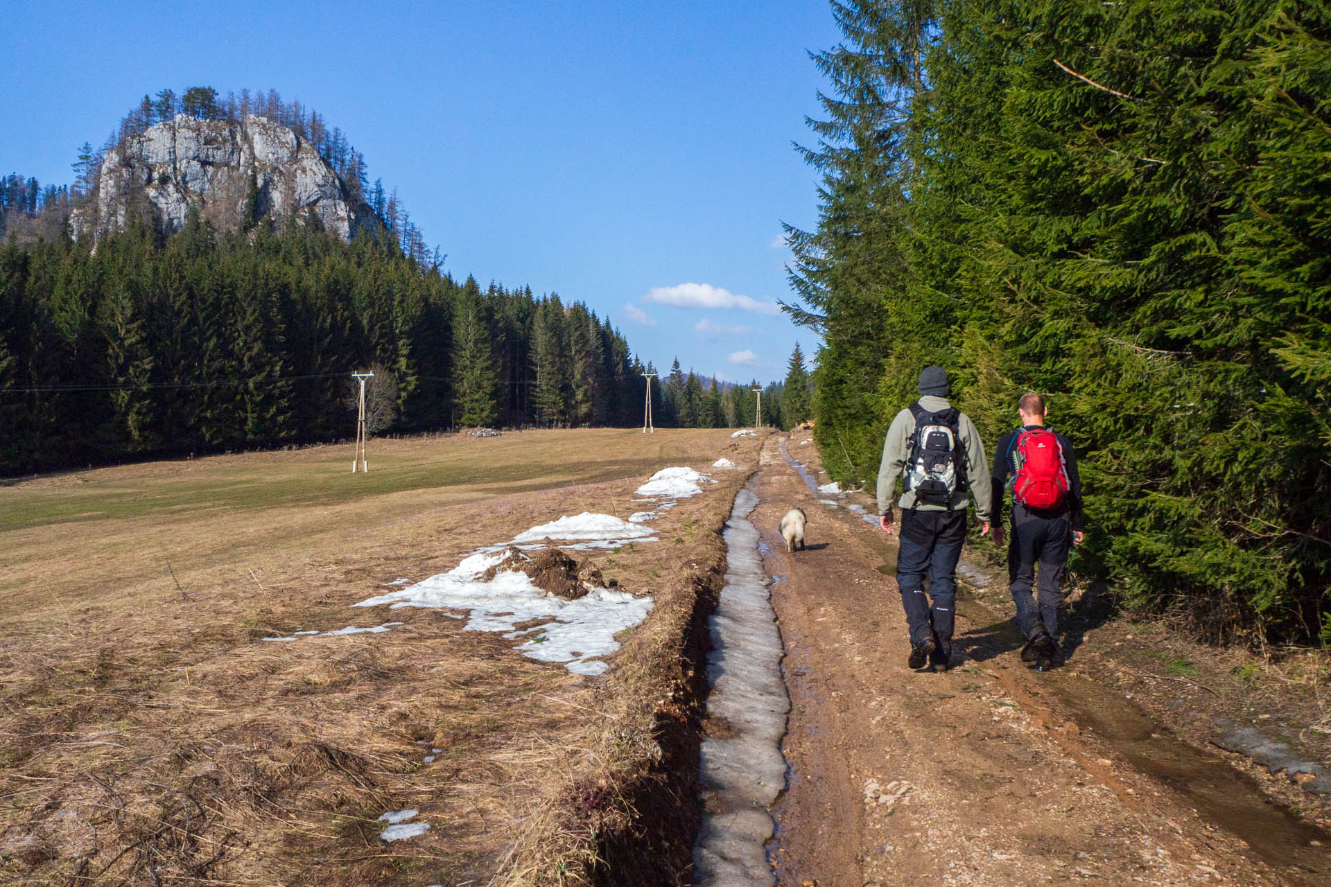 Ondrejisko (Borovniak) z Dobšinskej ľadovej jaskyne (Slovenský raj)