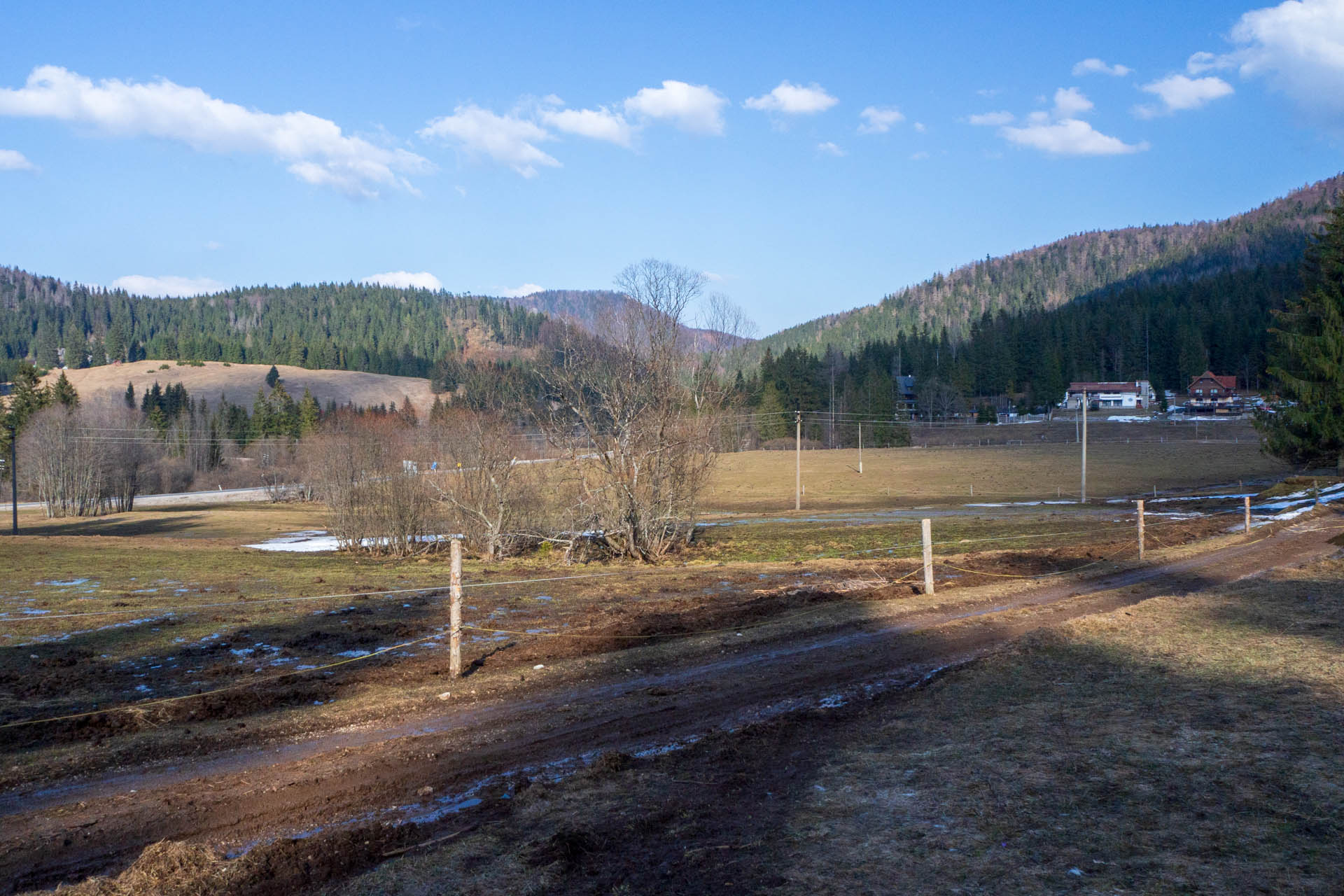 Ondrejisko (Borovniak) z Dobšinskej ľadovej jaskyne (Slovenský raj)