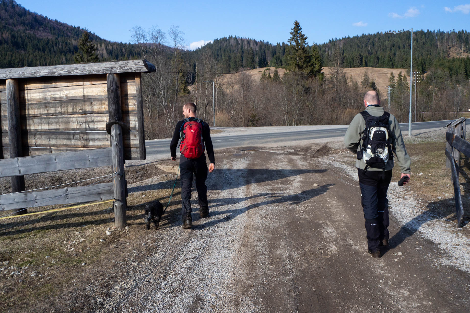 Ondrejisko (Borovniak) z Dobšinskej ľadovej jaskyne (Slovenský raj)